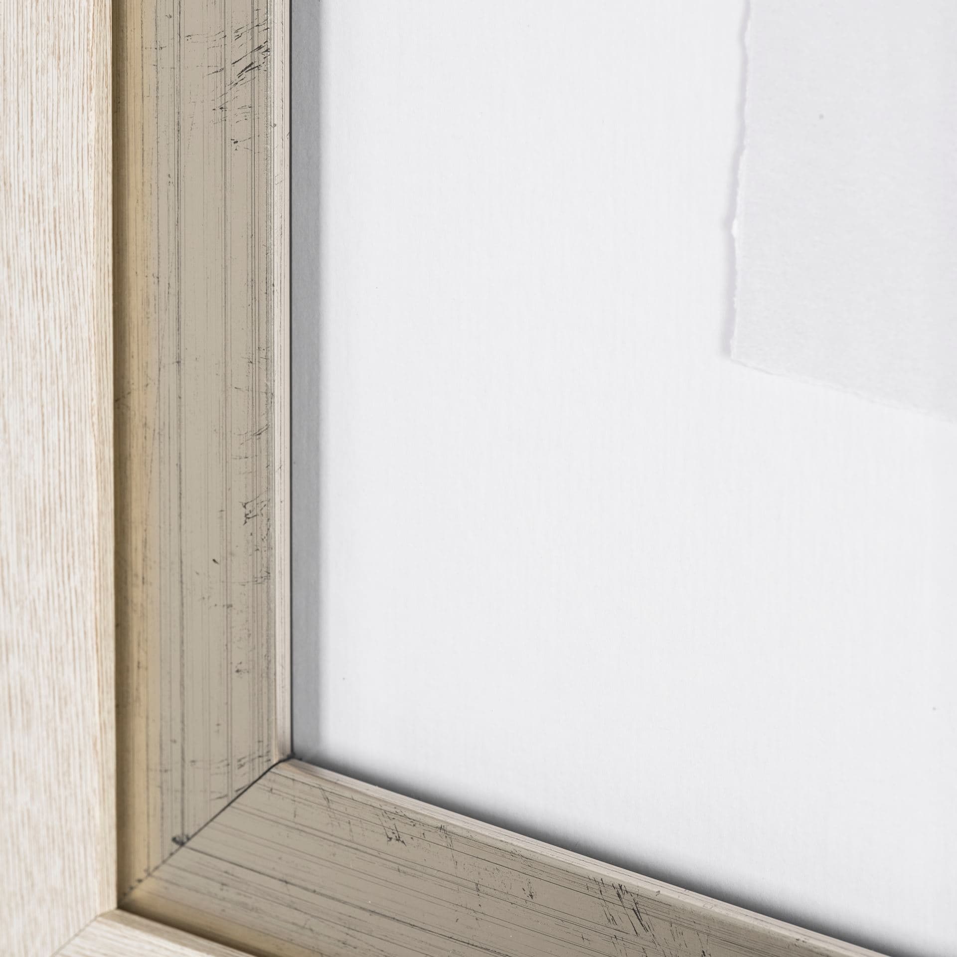 Orchid II by Gabrielle Campbell a Framed Art Print Matted under Glass — product photograph
