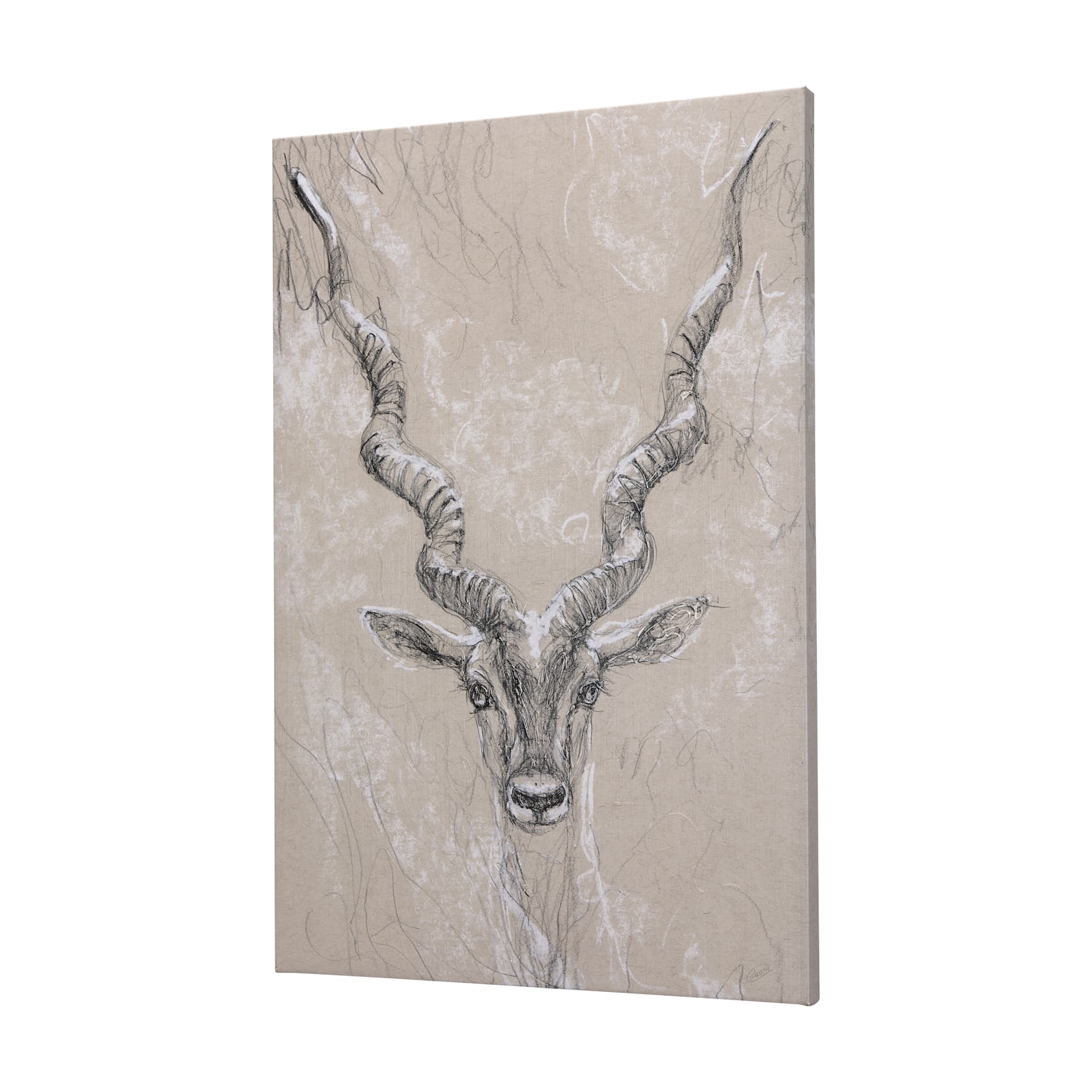 Sketch of animal III (Antelope) by Mercana Studio a Hand Embellished Textured Canvas — product photograph