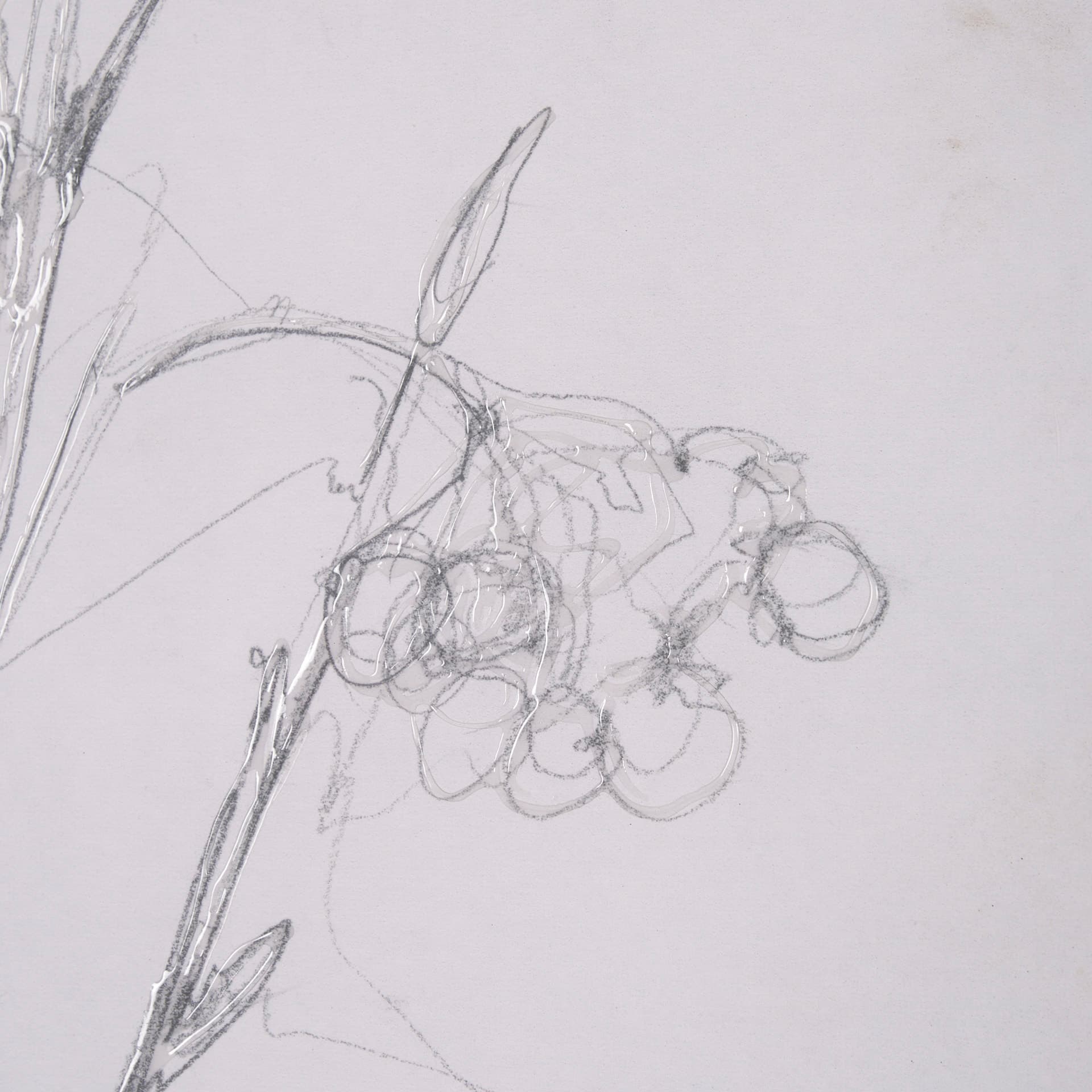 Chokecherry 1 by Mercana Studio a Hand Embellished Framed Art Print Matted under Glass — product photograph