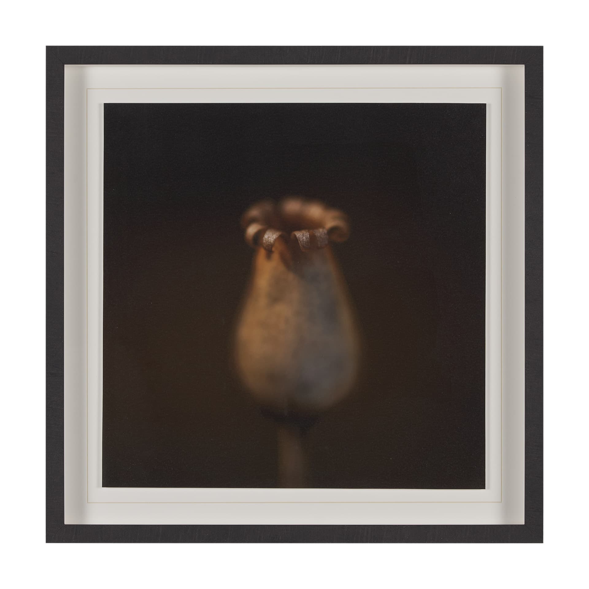 Collecting by Stig Kalvelid a Hand Embellished Framed Photo Art Print Matted under Glass — product photograph