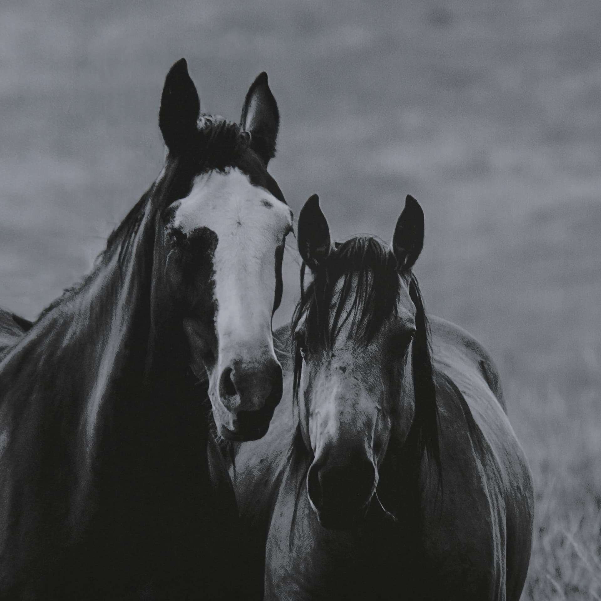 Montana Moves by Mercana Studio a Framed Photo Art Print Matted under Glass — product photograph
