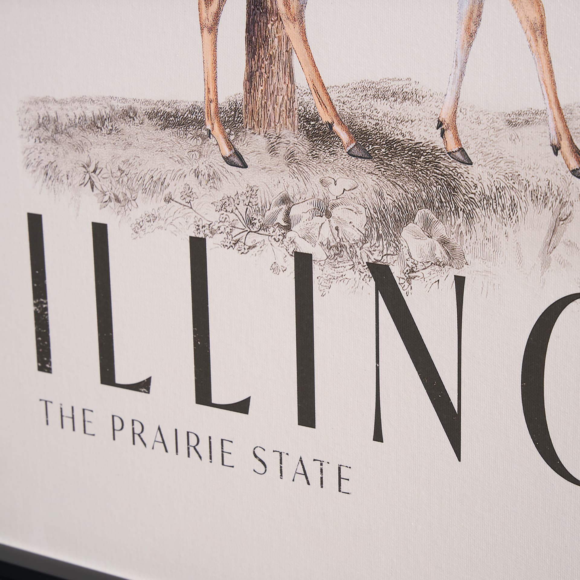 Travel Guide - Illinois by Vintage Collection a Hand Embellished Textured Framed Art Print — product photograph