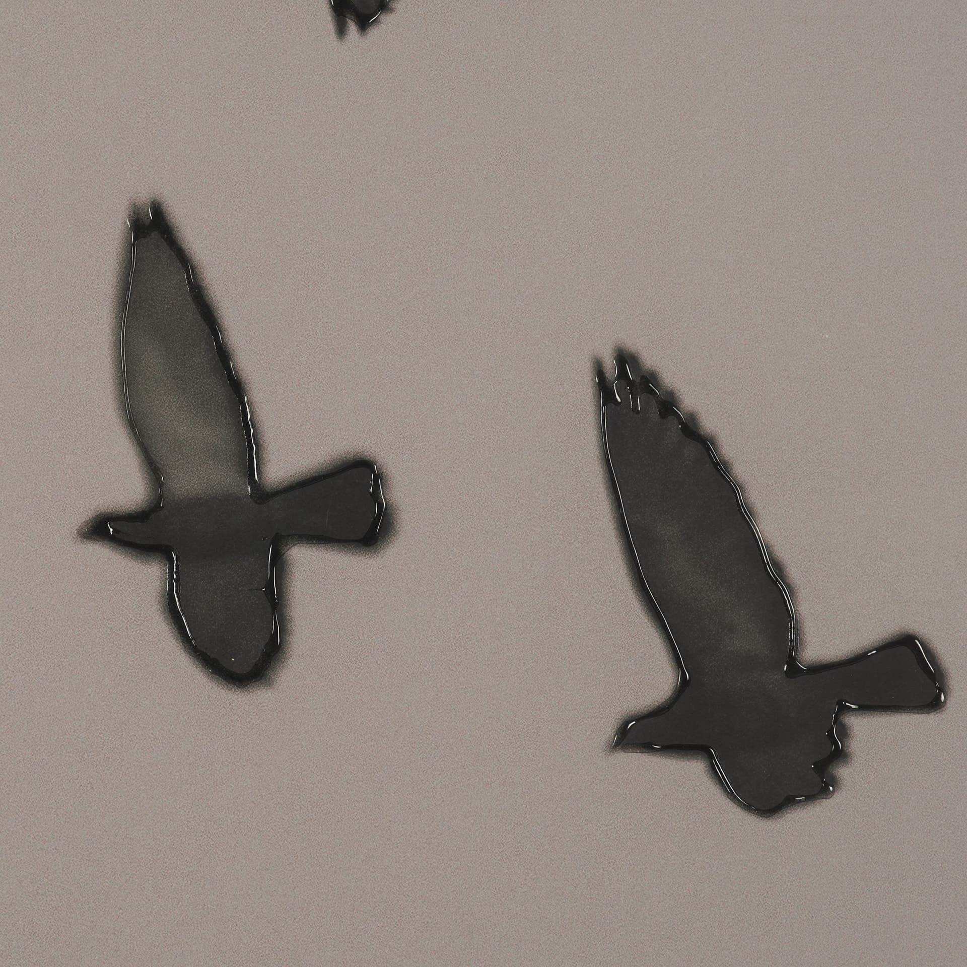Flock I by Nathan Larson a Hand Embellished Framed Photo Print under Glass — product photograph