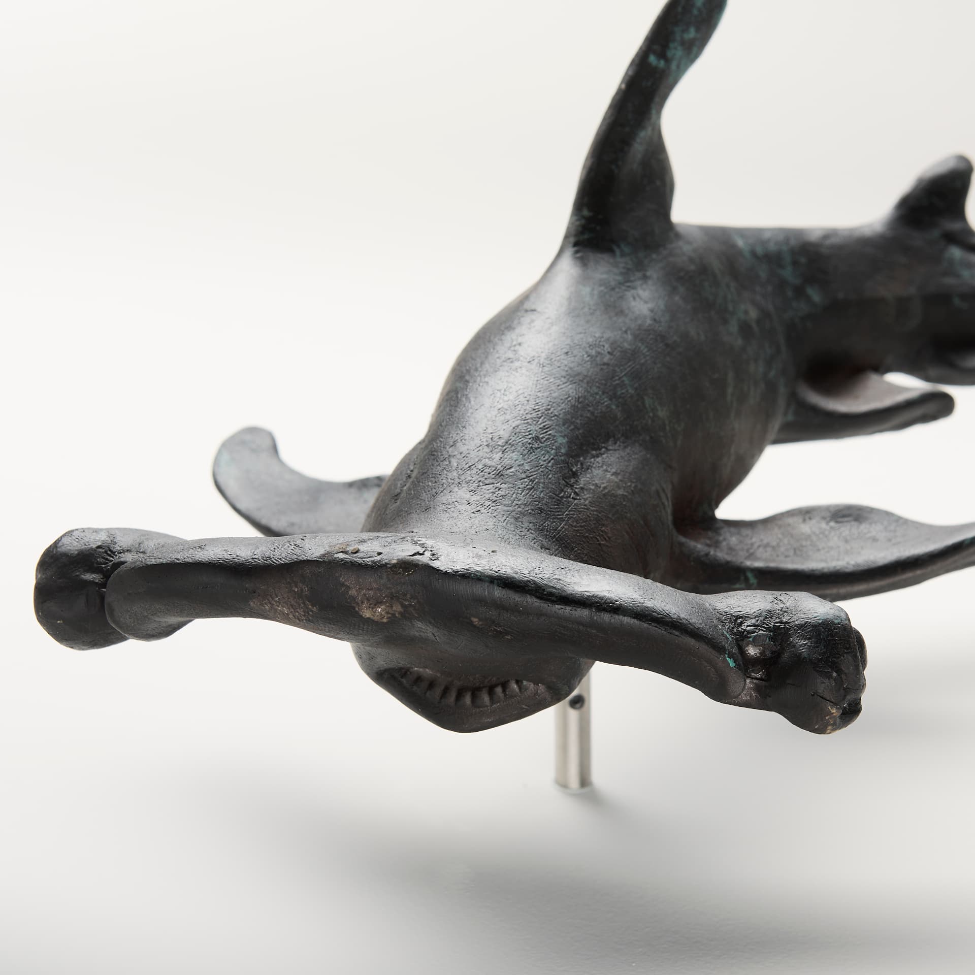Acus 24H Large Hammer Head Shark Wall Decor — product photograph