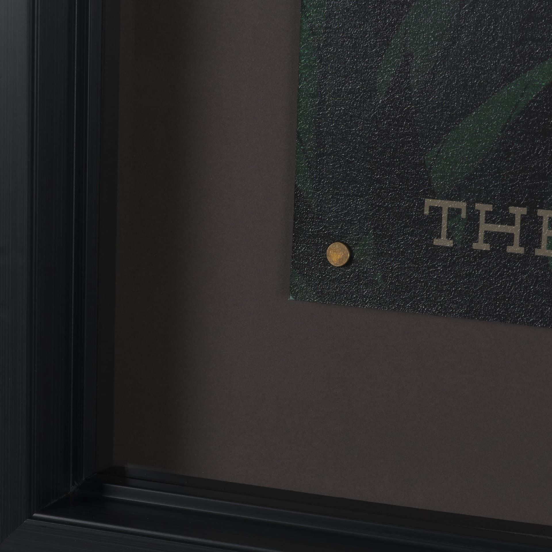 Cryptid Tourism I by Omar Escalante Textured Framed Artwork Matted under Glass — product photograph