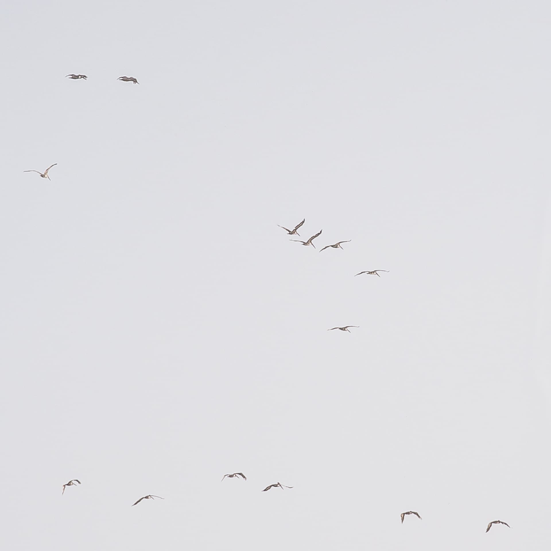 Seaside Serenity by Shot By Clint Framed Photo Print Matted under Glass — product photograph