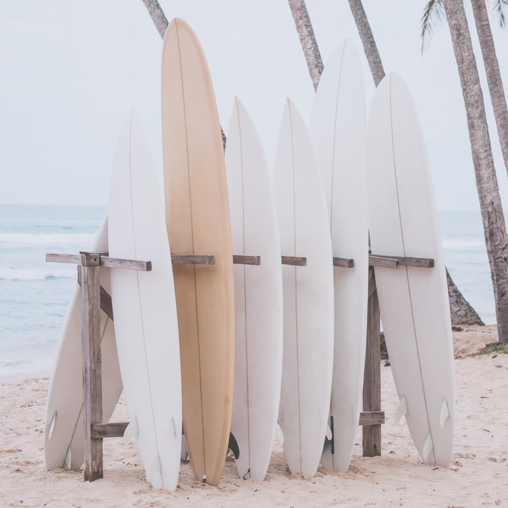 Tropical Surfboards On Beach by Andreas Magnusso Framed Photo Print Matted under Glass — product photograph