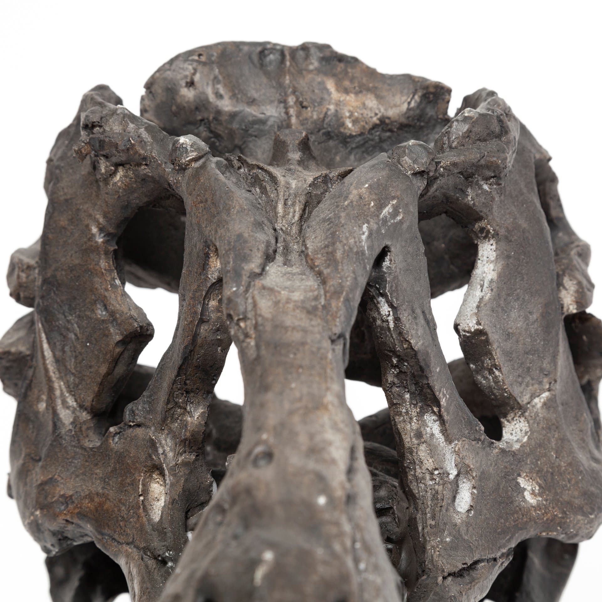 Jurassic 6L x 10W Brown Resin Tyrannosaurus Skull Replica — product photograph