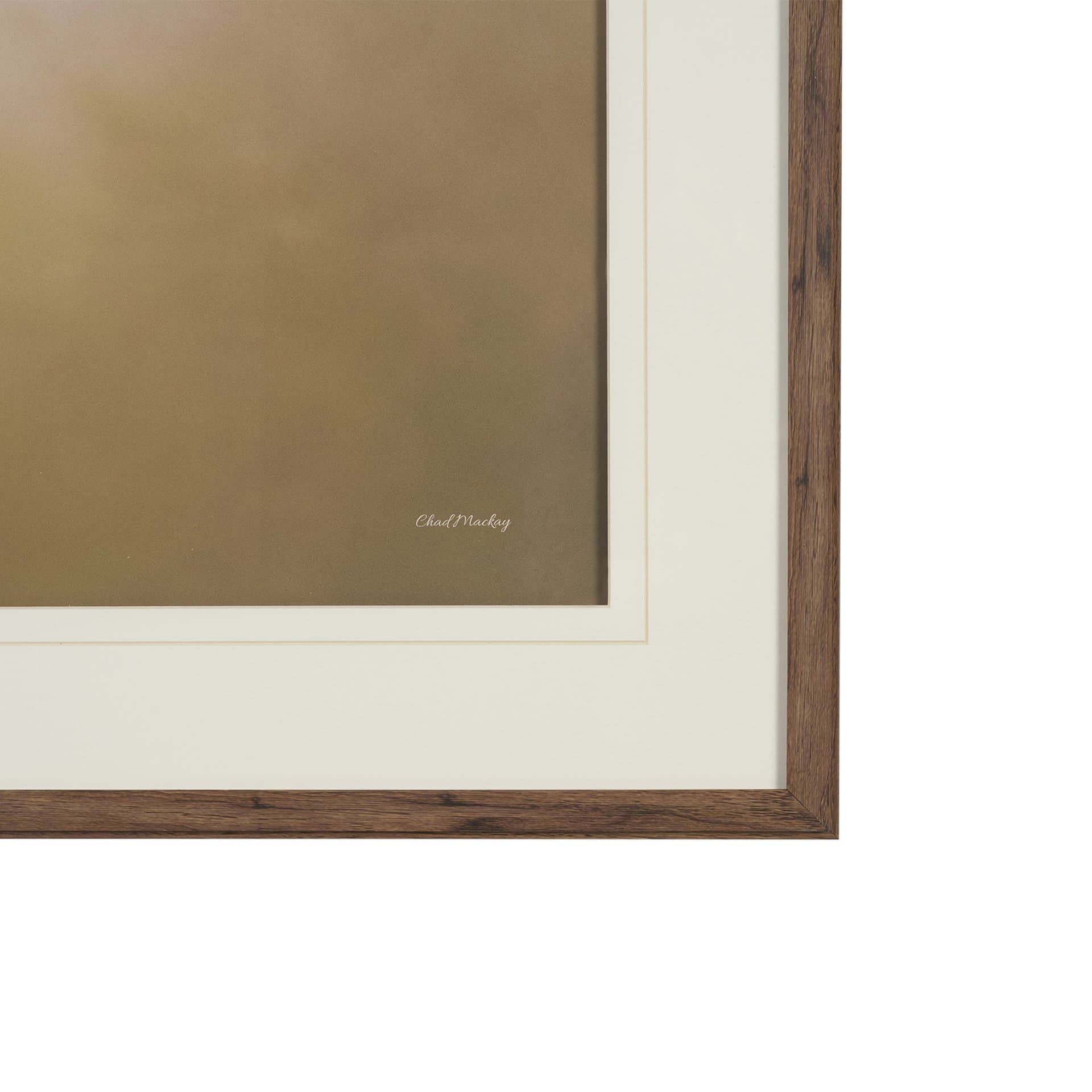 Magic by Chad Mackay FramedPhoto Print Matted under Glass — product photograph