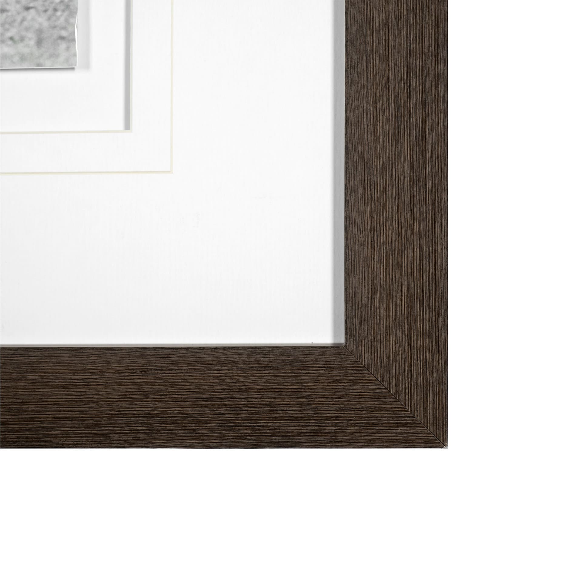 Curious Cub by Wink Gaines a Hand Embellished Textured Framed Art Photograph Matted under Glass — product photograph