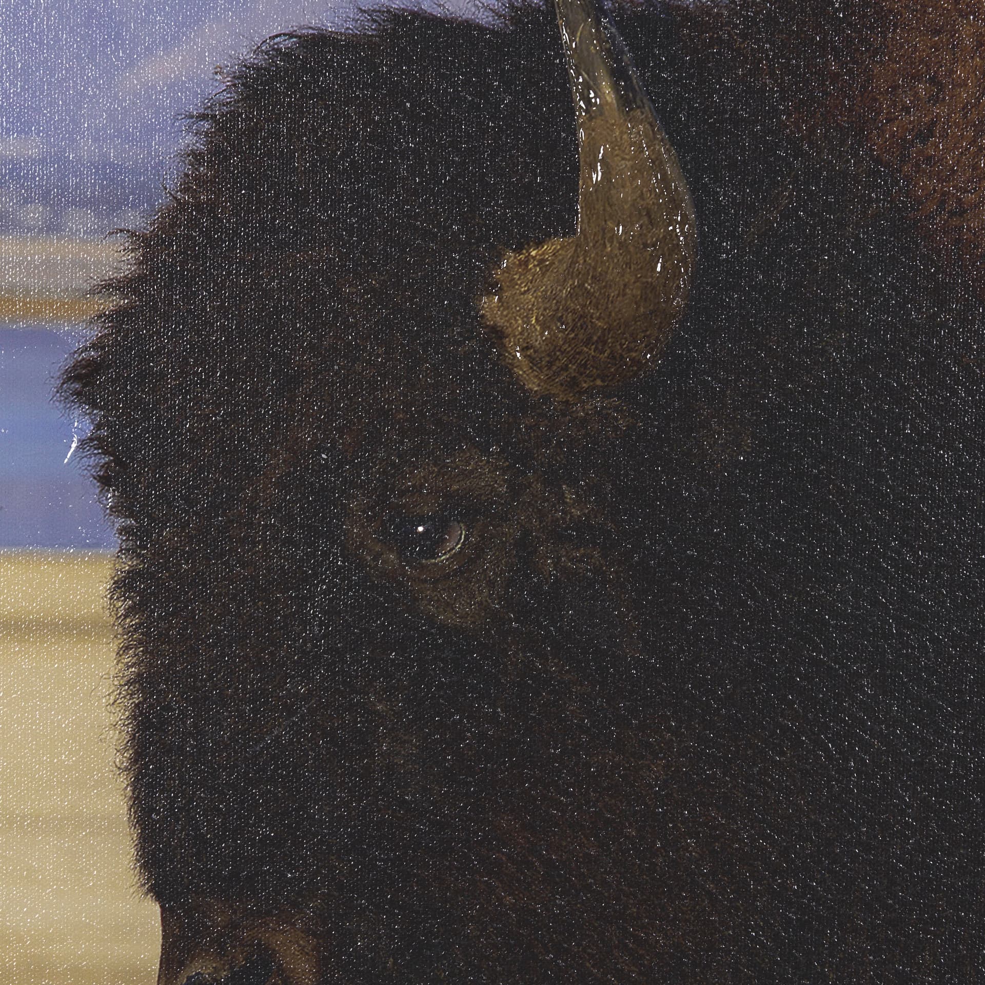 Antelope Island by Gary Blatter a Hand Embellished Textured Framed Photo Art Print — product photograph