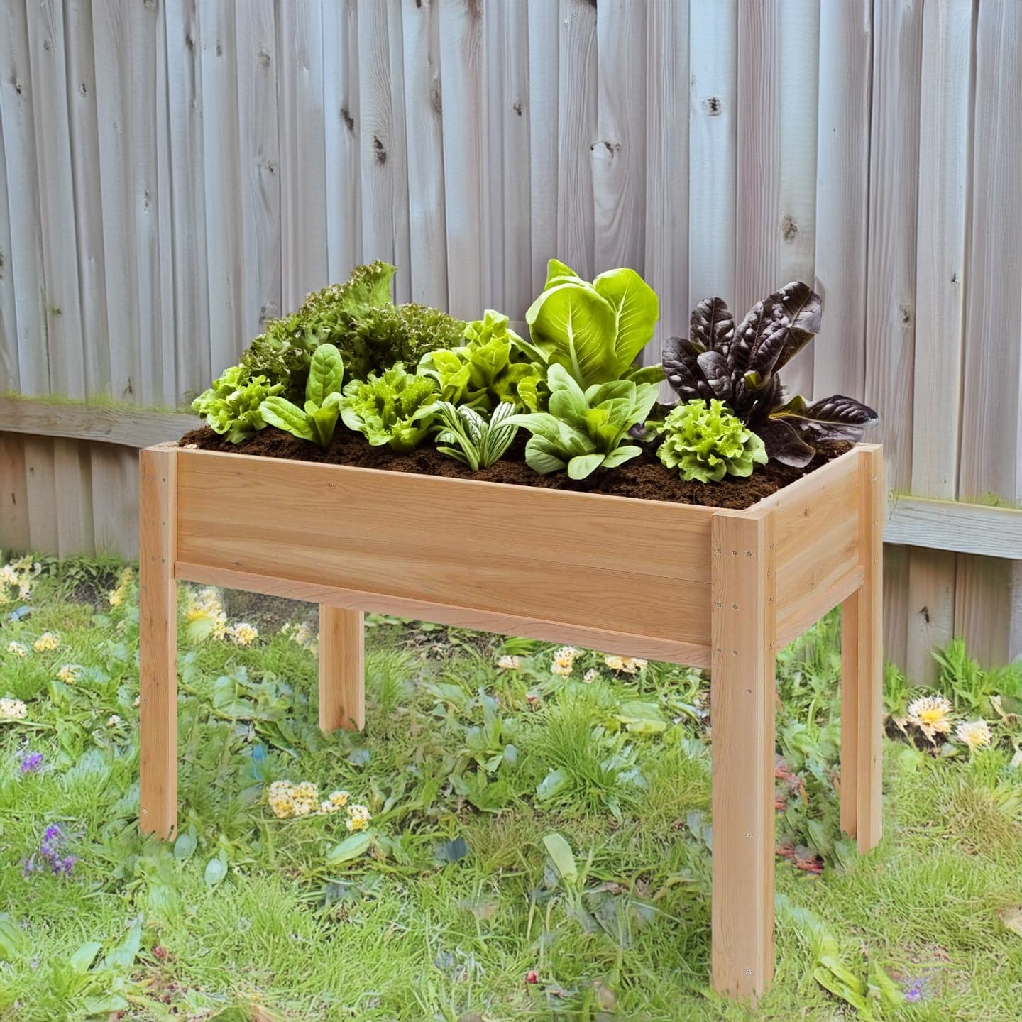 4-ft x 2-ft Raised Cedar Garden Box with Legs RGL34 — product photograph