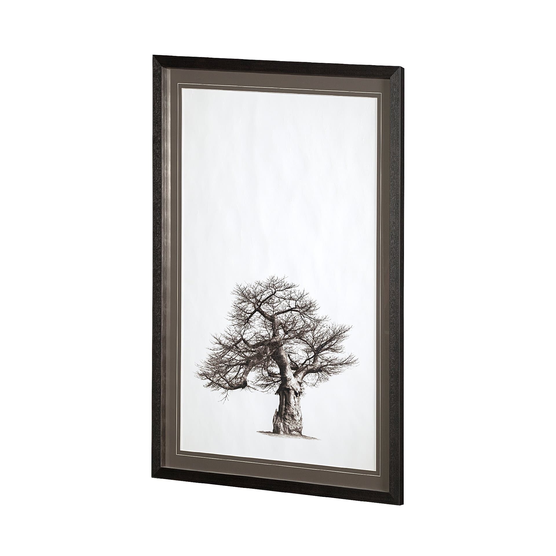 Boabab Tree I by Tiedge a Framed Art Print Matted under Glass — product photograph