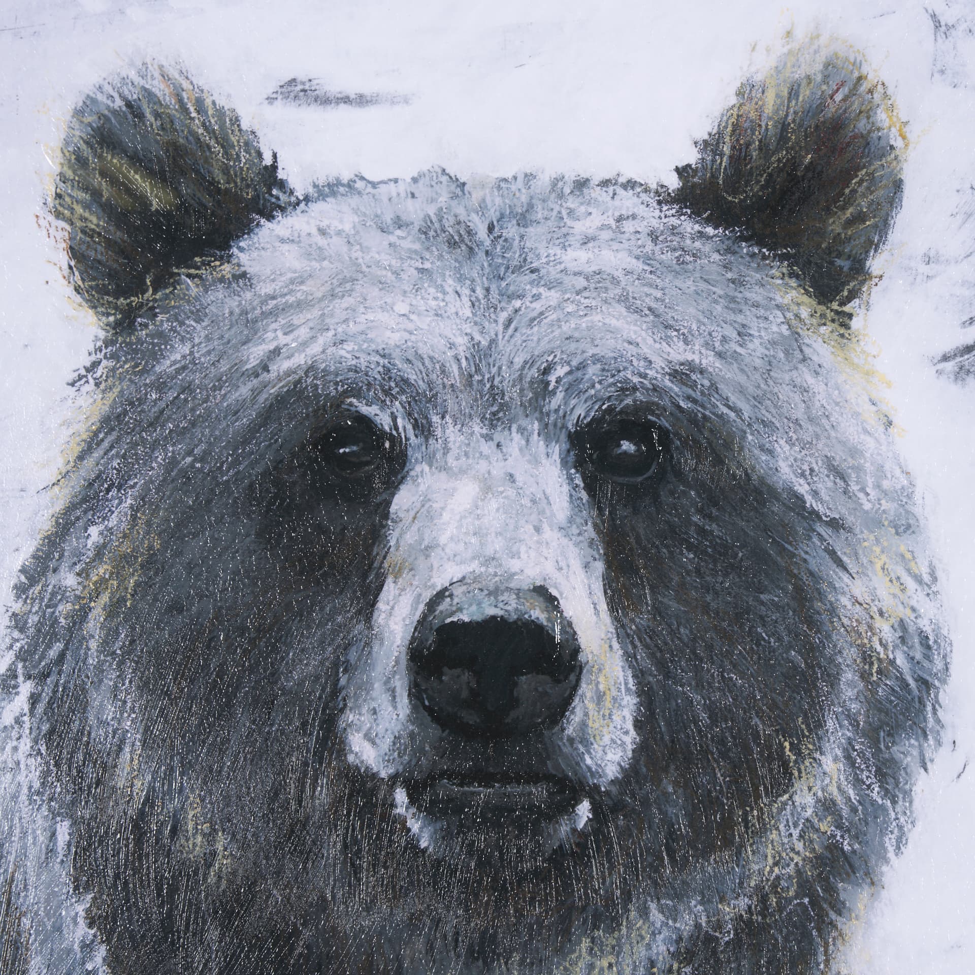 Animal Portrait III (Bear) by Mercana Studio Hand Embellished Framed Art Print Matted under Glass — product photograph
