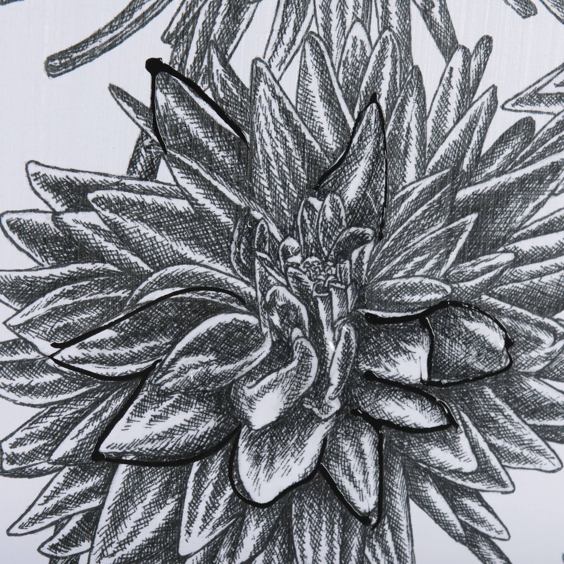 Dahlia Study - Detail by Mercana Studio Hand Embellished Textured Framed Art Photo Matted under Glas — product photograph