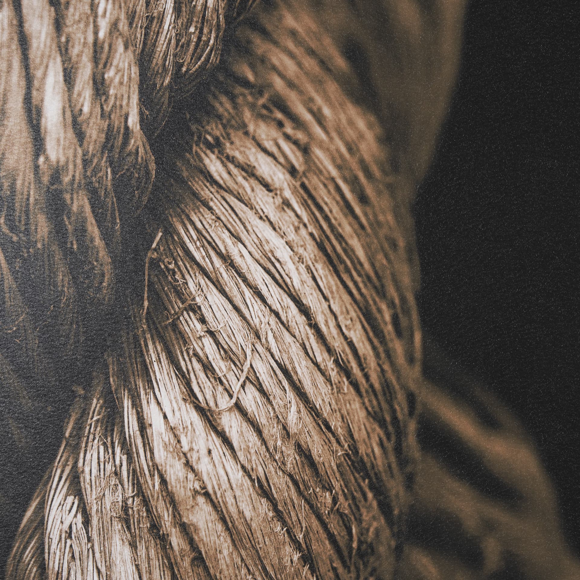 Anchored by Melissa McClain a Hand Embellished Framed Photo Art Print Matted under Glass — product photograph