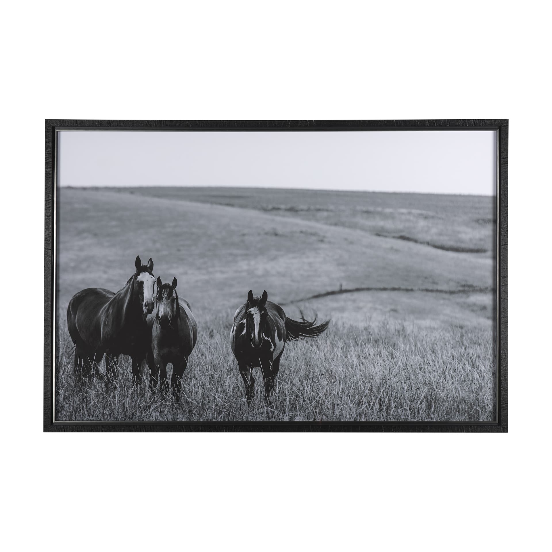 Montana Moves by Mercana Studio a Framed Photo Art Print Matted under Glass — product photograph