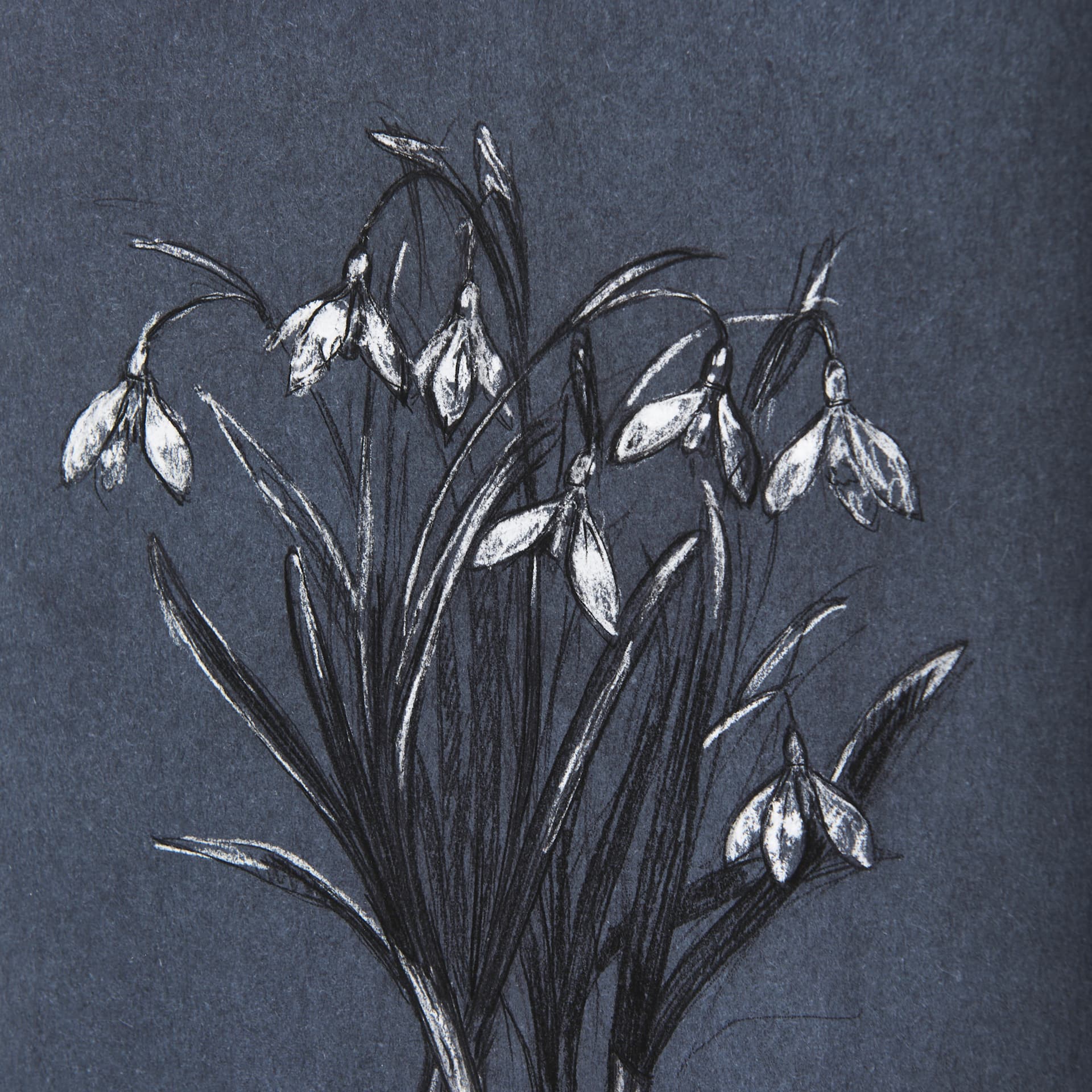 Botanical sketchesVI (Blue) by Mercana Studio Hand Embellished Framed Art Print Matted under Glass — product photograph
