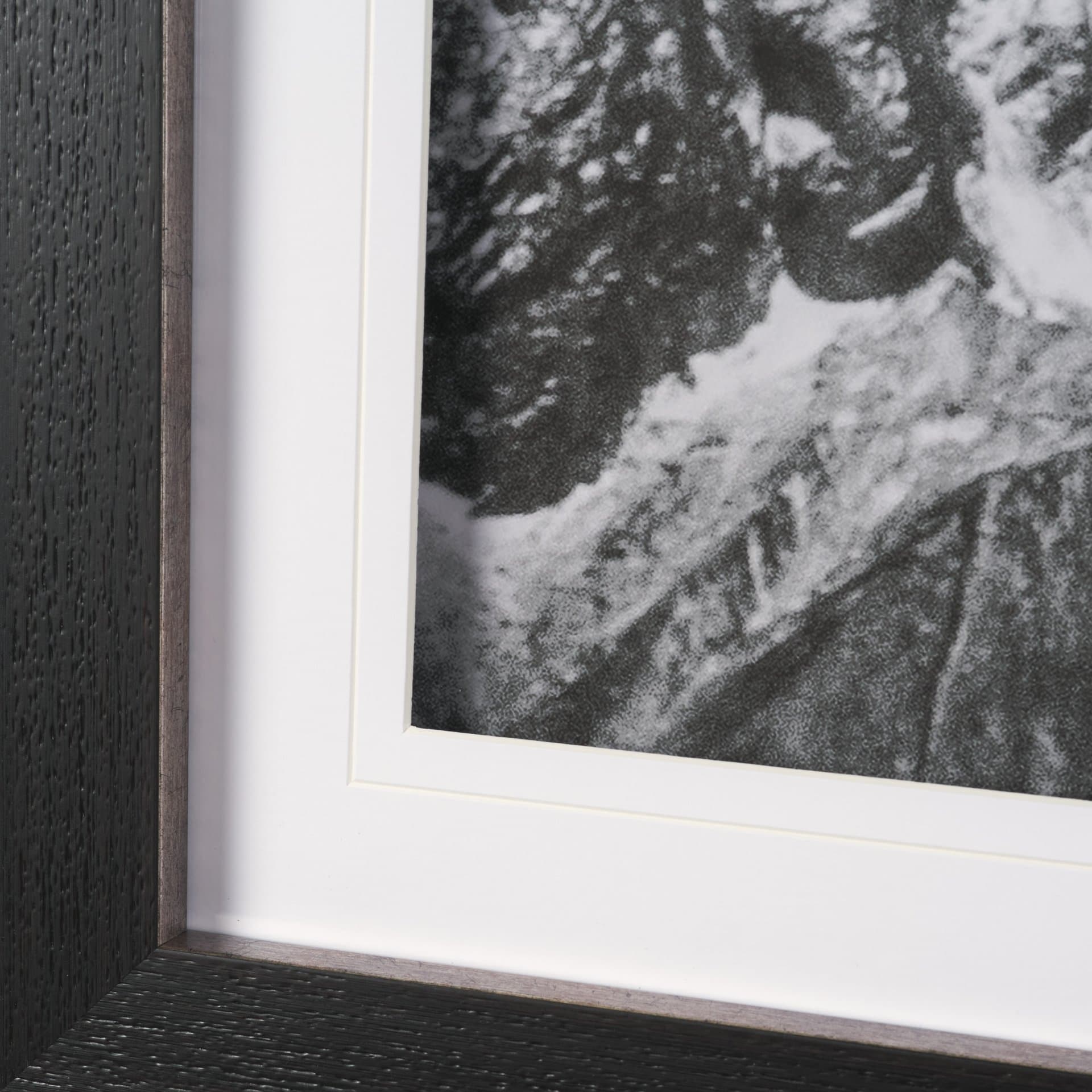 Majestic Mane - Snowscape by Matt Roseveare Framed Art Print Matted under Glass — product photograph