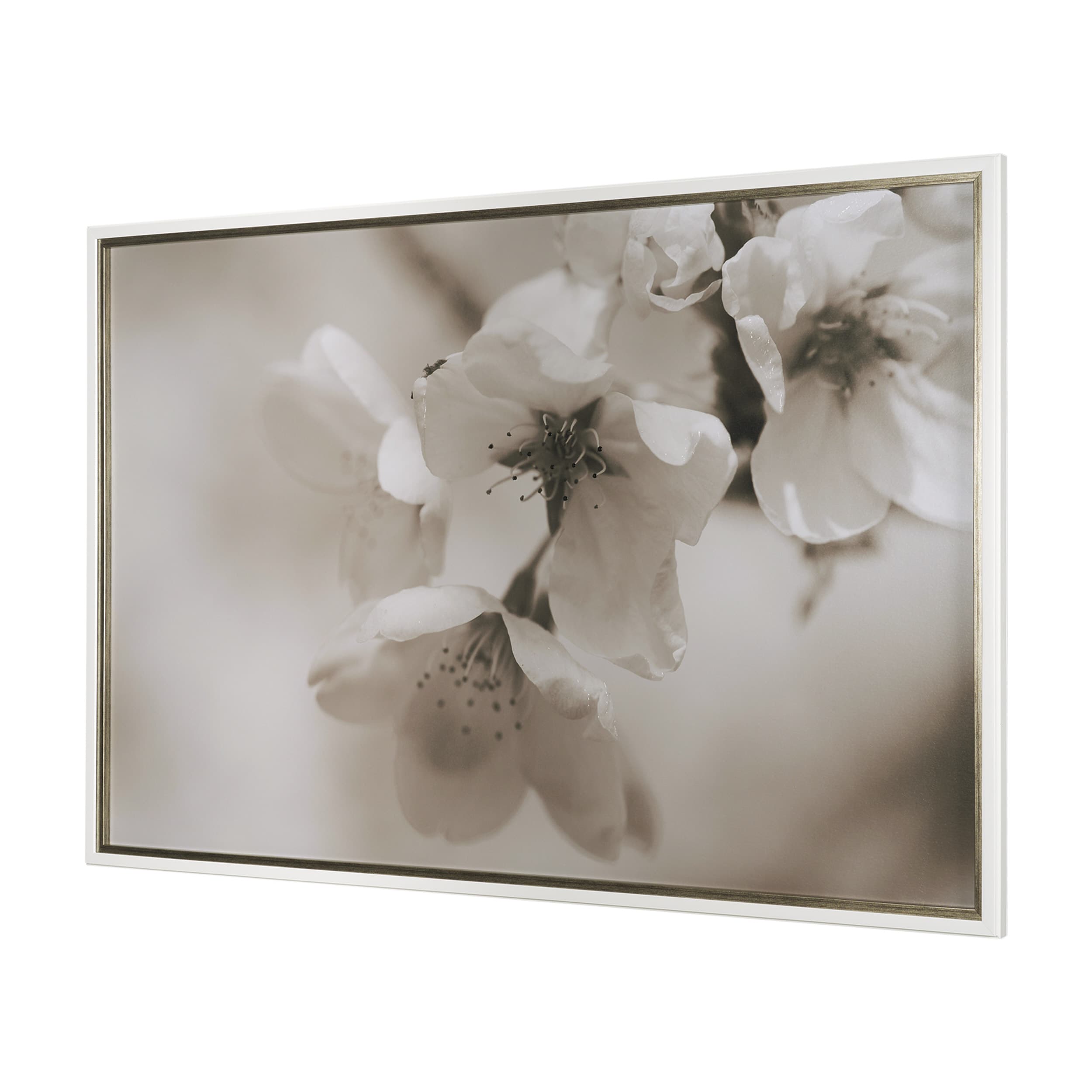 Soft Petals II by Nancy Crowell a Hand Embellished Textured Framed Photo Art Print Matted under Glas — product photograph