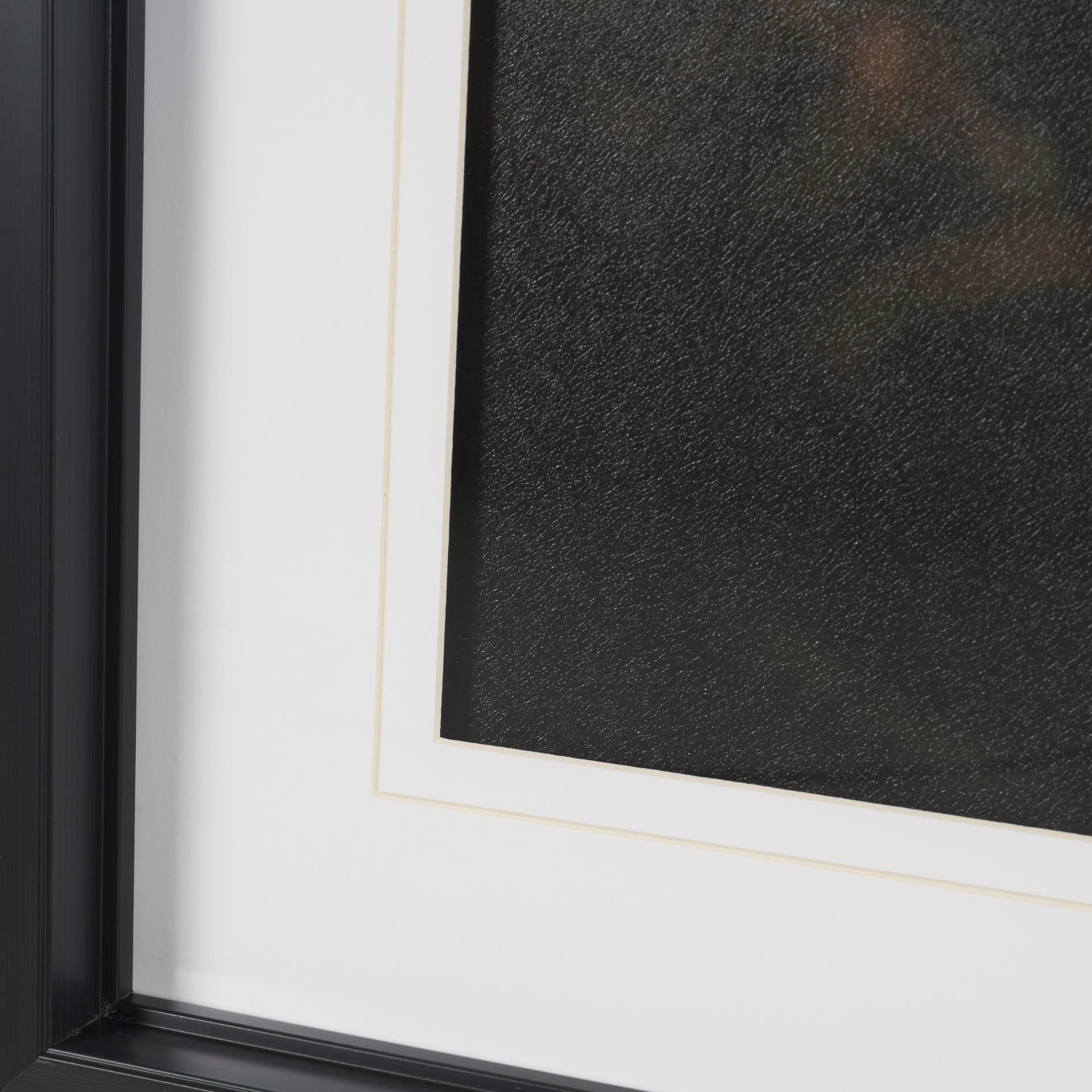 Elk by Stefan and Audrey Textured Framed Photo Print Matted under Glass — product photograph
