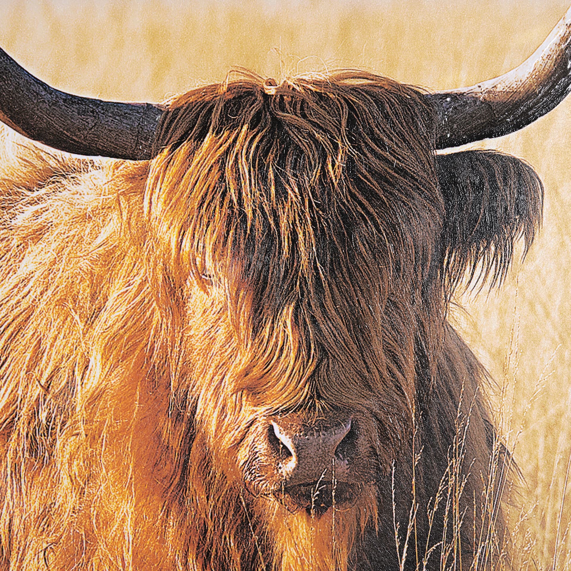 Young and Old Highlander by Mercana Studio Hand Embellished Framed Photo Art Print Matted under Glas — product photograph