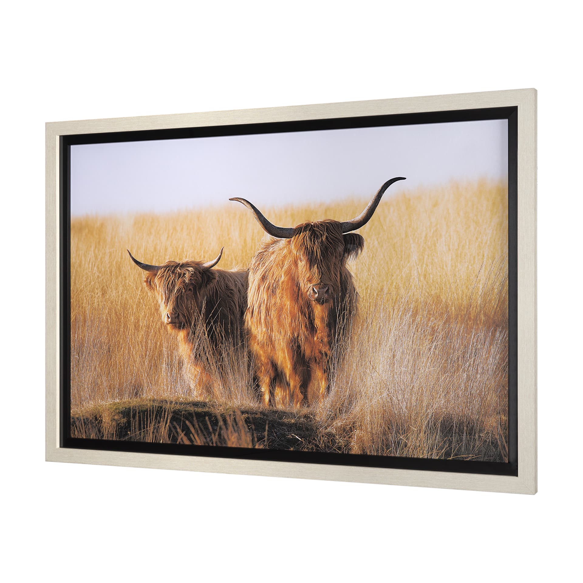 Young and Old Highlander by Mercana Studio Hand Embellished Framed Photo Art Print Matted under Glas — product photograph
