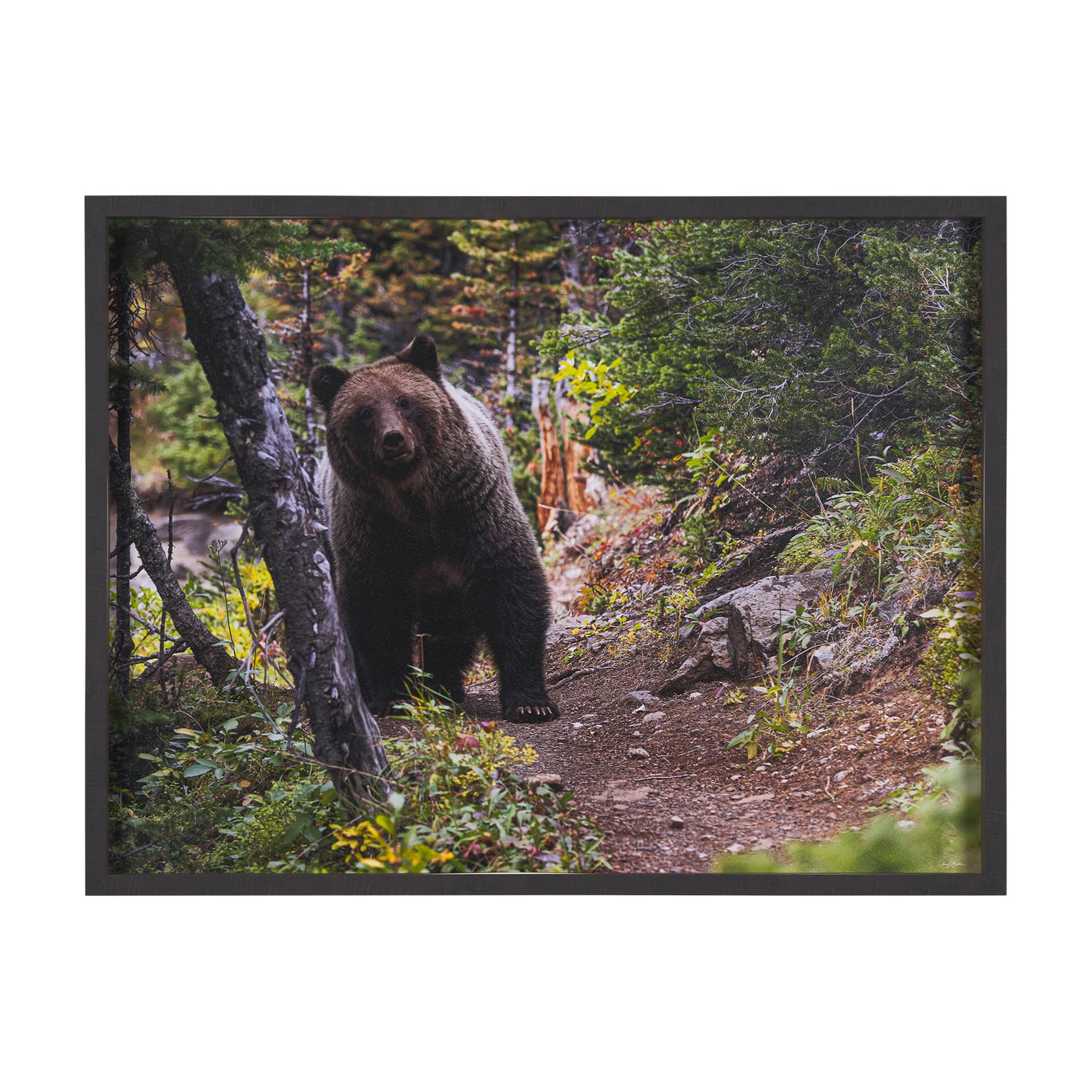 Coming Round the Bend by Gary Blatter Hand Embellished Textured Framed Photo Art Print Matted under — product photograph