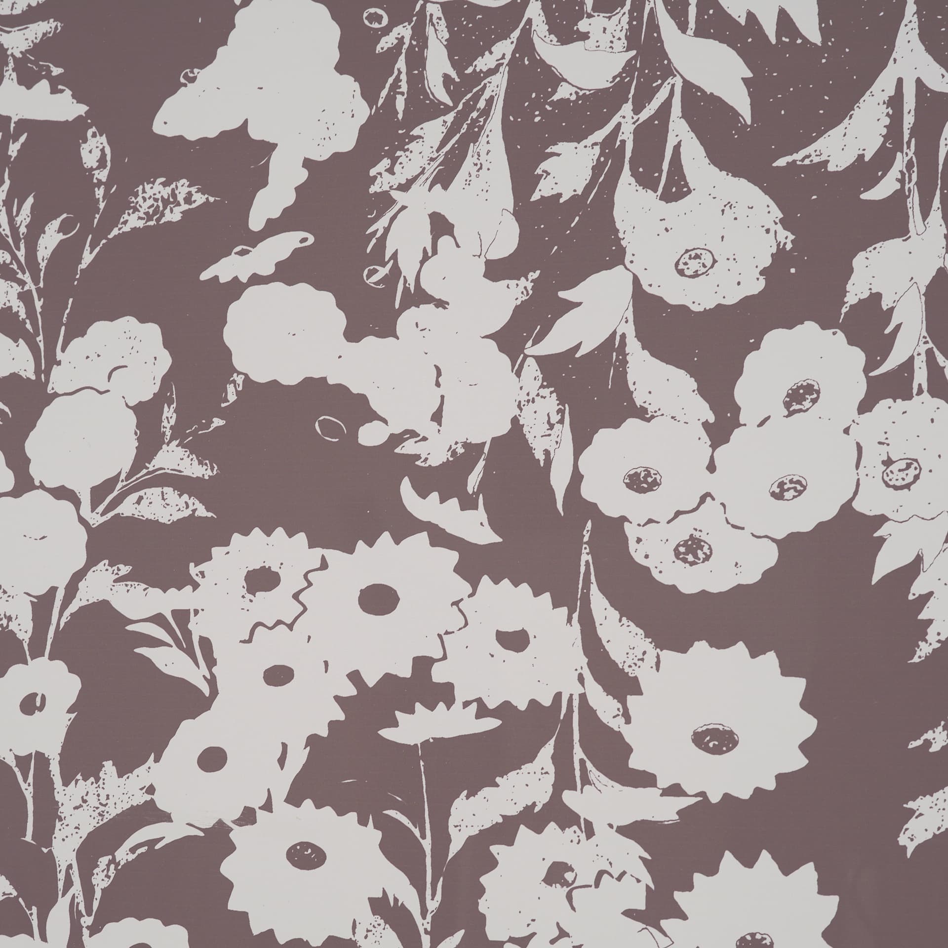 Belleza En Flores I by Mercana Studio a Framed Art Print Matted under Glass — product photograph