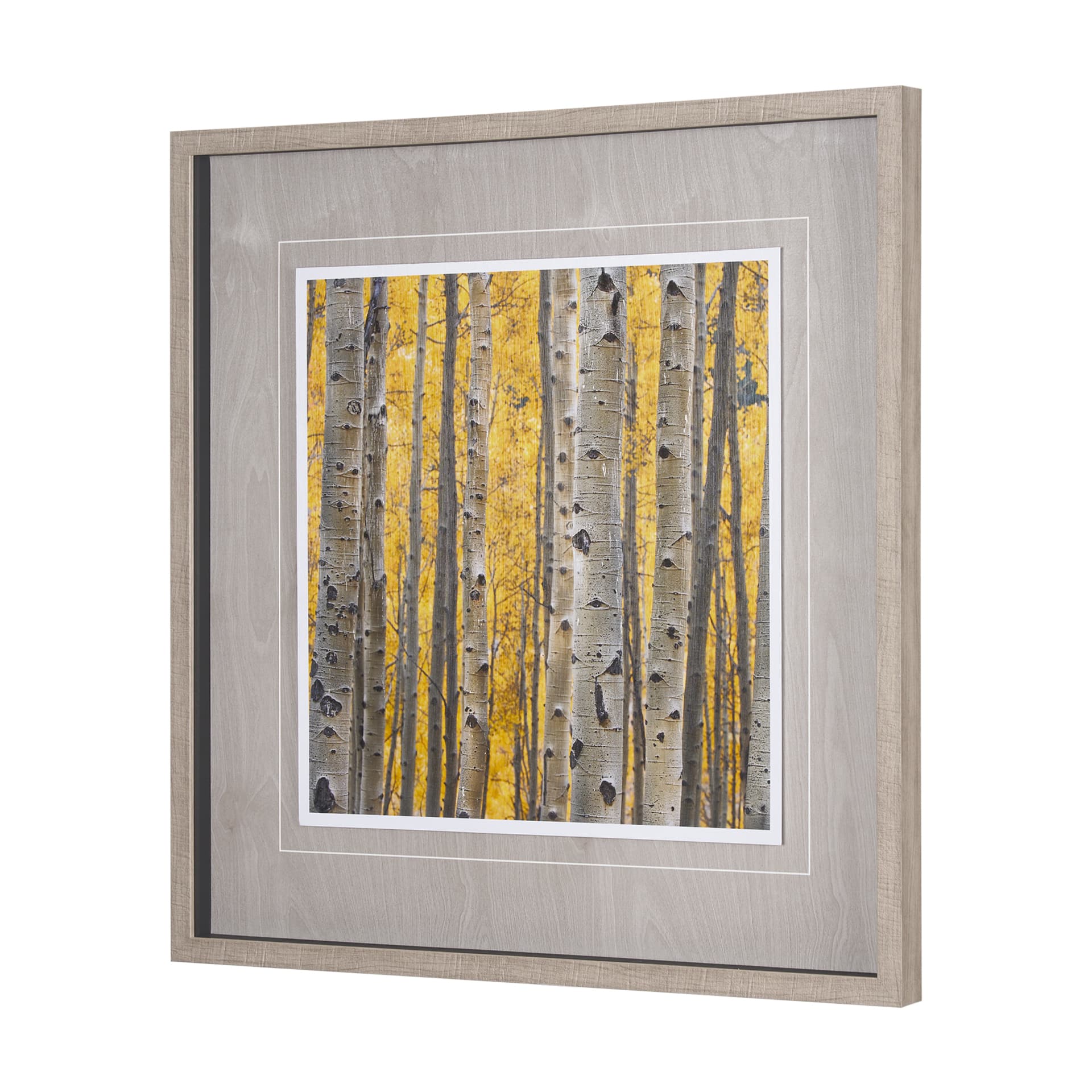 Aspen Trees 3 by Jamie Cook a Hand Embelished Textured Framed Photo Art Print Matted under Glass — product photograph