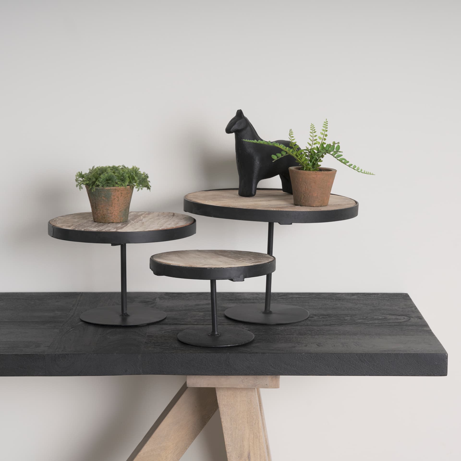 Lorenz (Set of 3) Light Brown Wood W/ Black Metal Base Round Decorative Display Stands — in a styled room