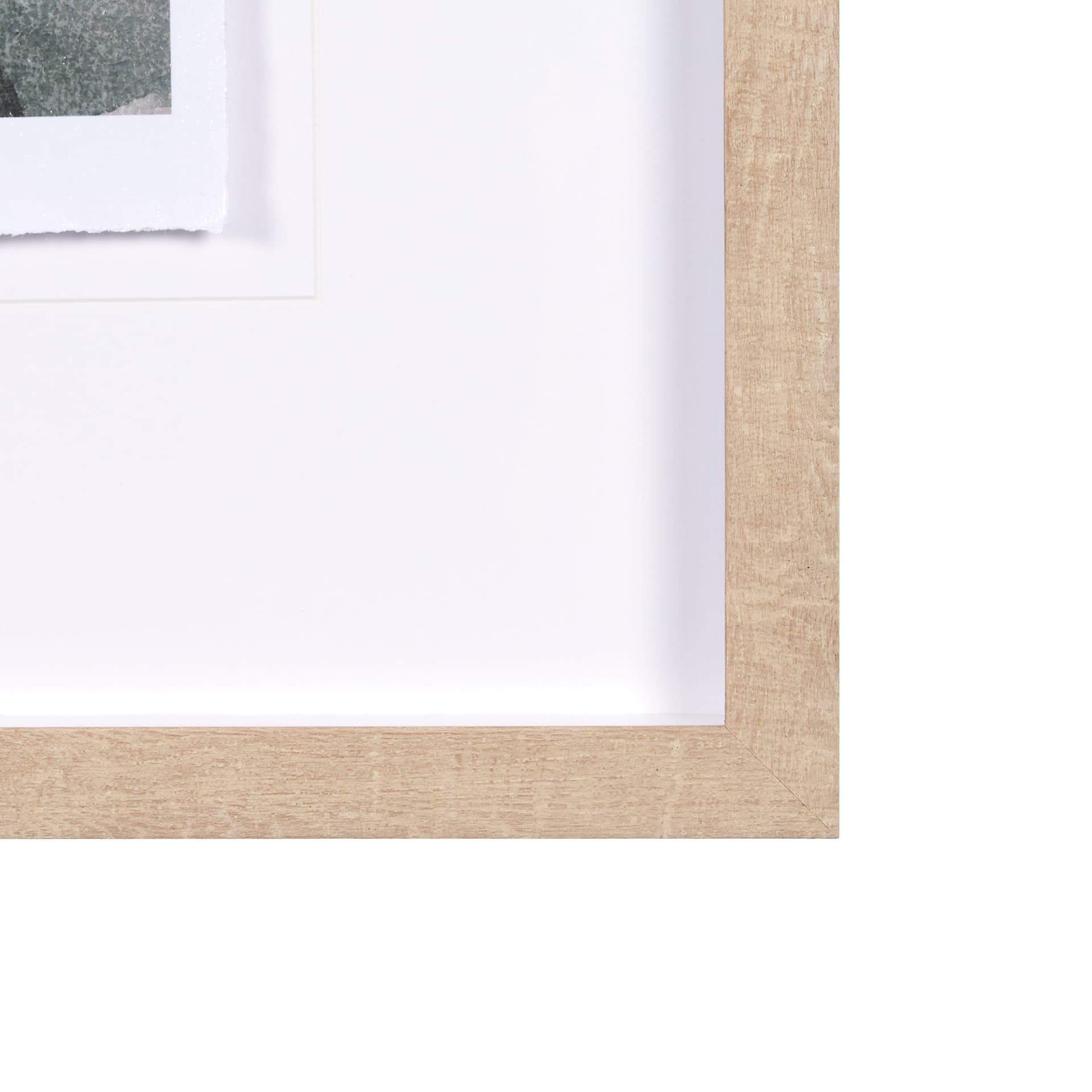 Summer Foliage II by Mercana Studio a Hand Embellished Textured Framed Art Print Matted under Glass — product photograph