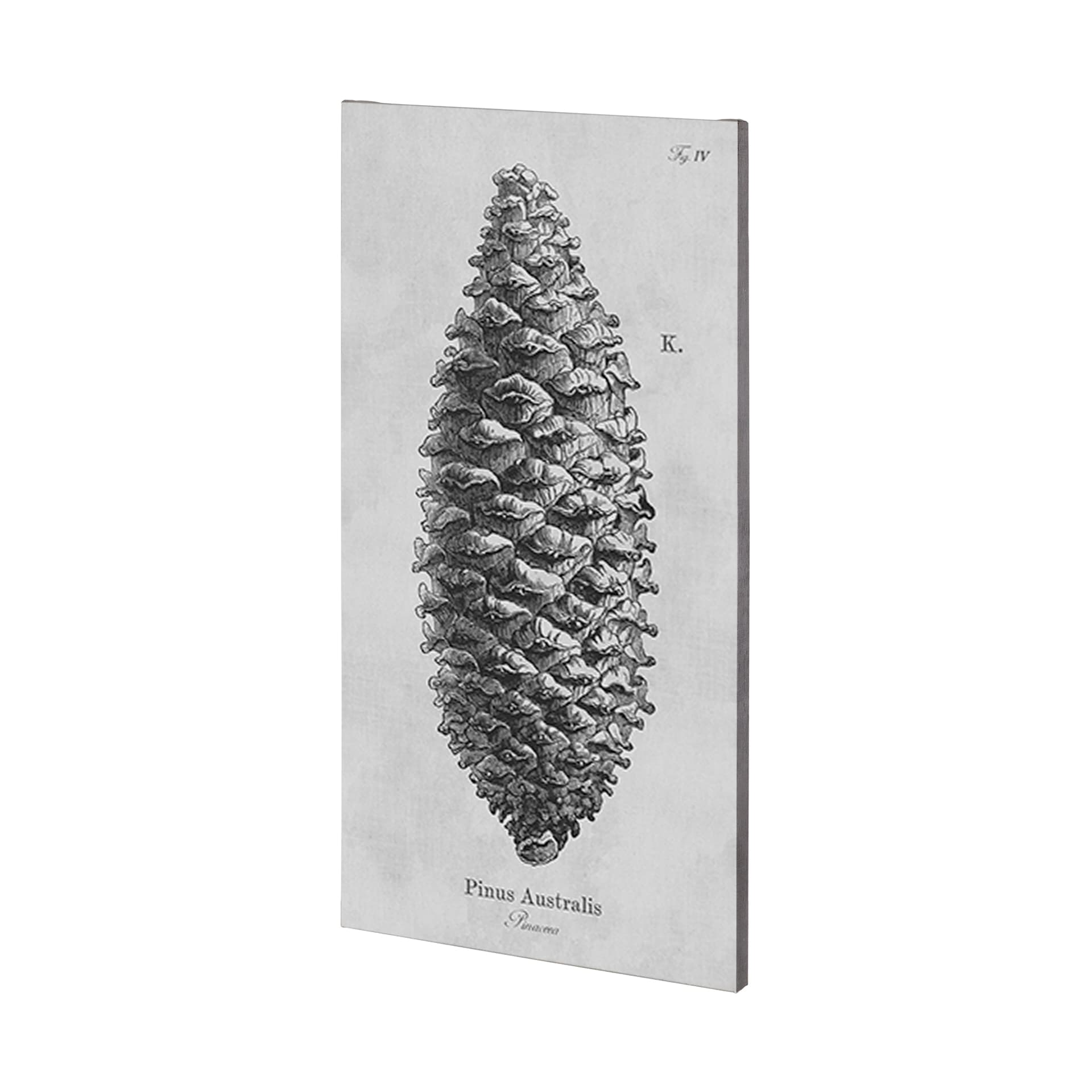 Pinus Australis by Mercana Studio a Hand Embellished Textured Canvas — product photograph