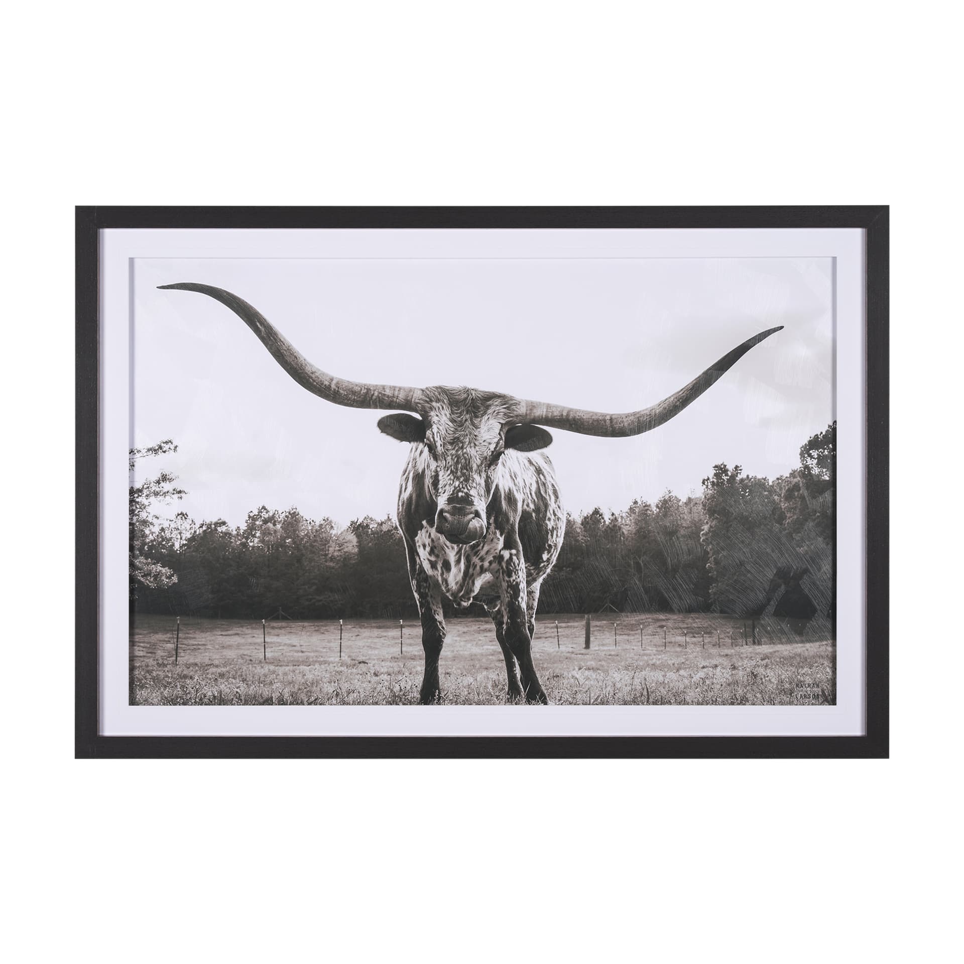 Longhorn Last Call BW by Nathan Larson Hand Embelished Textured Framed Photo Art Print Matted under — product photograph
