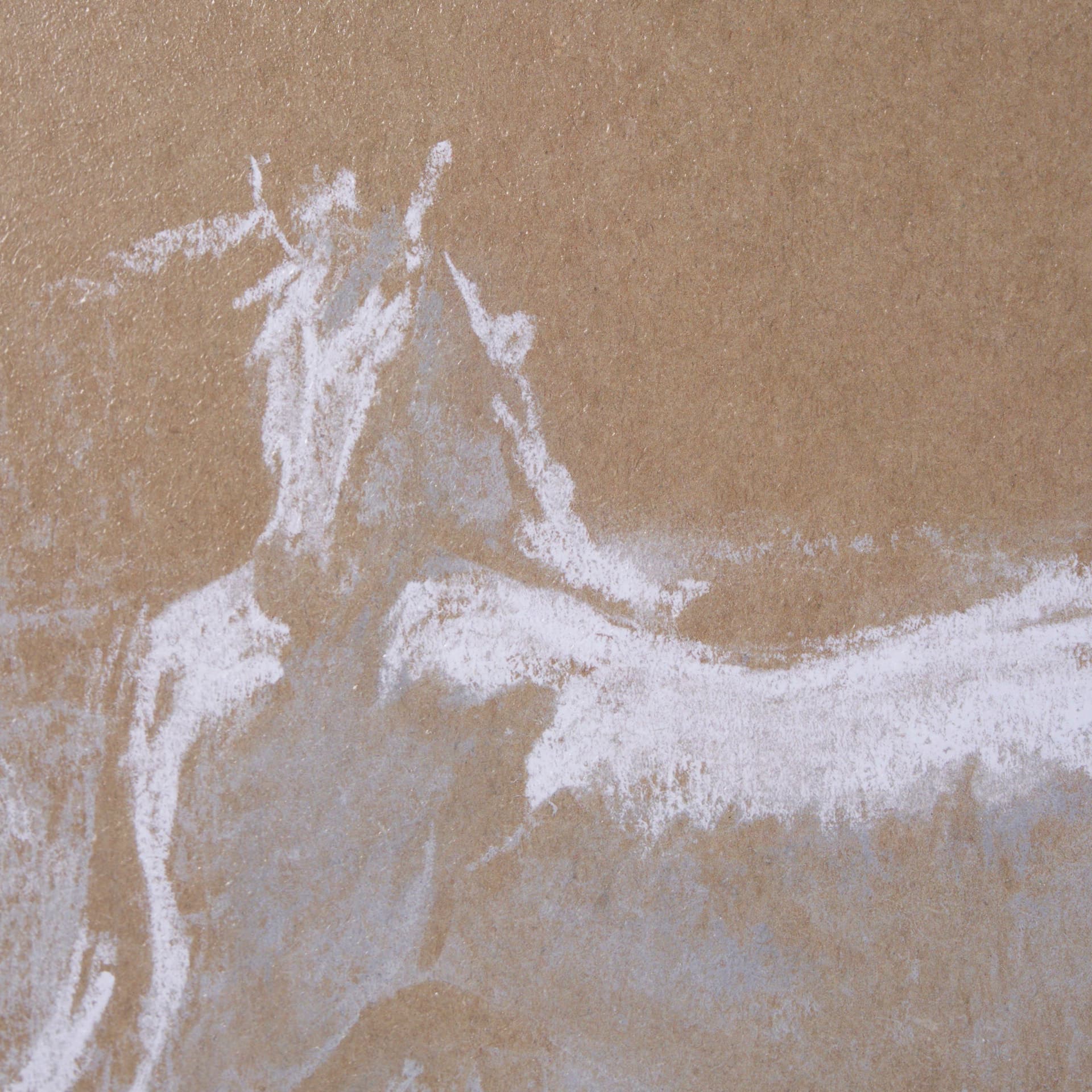 Duo II Horses by Mercana Studio a Framed Art Print Matted under Glass — product photograph