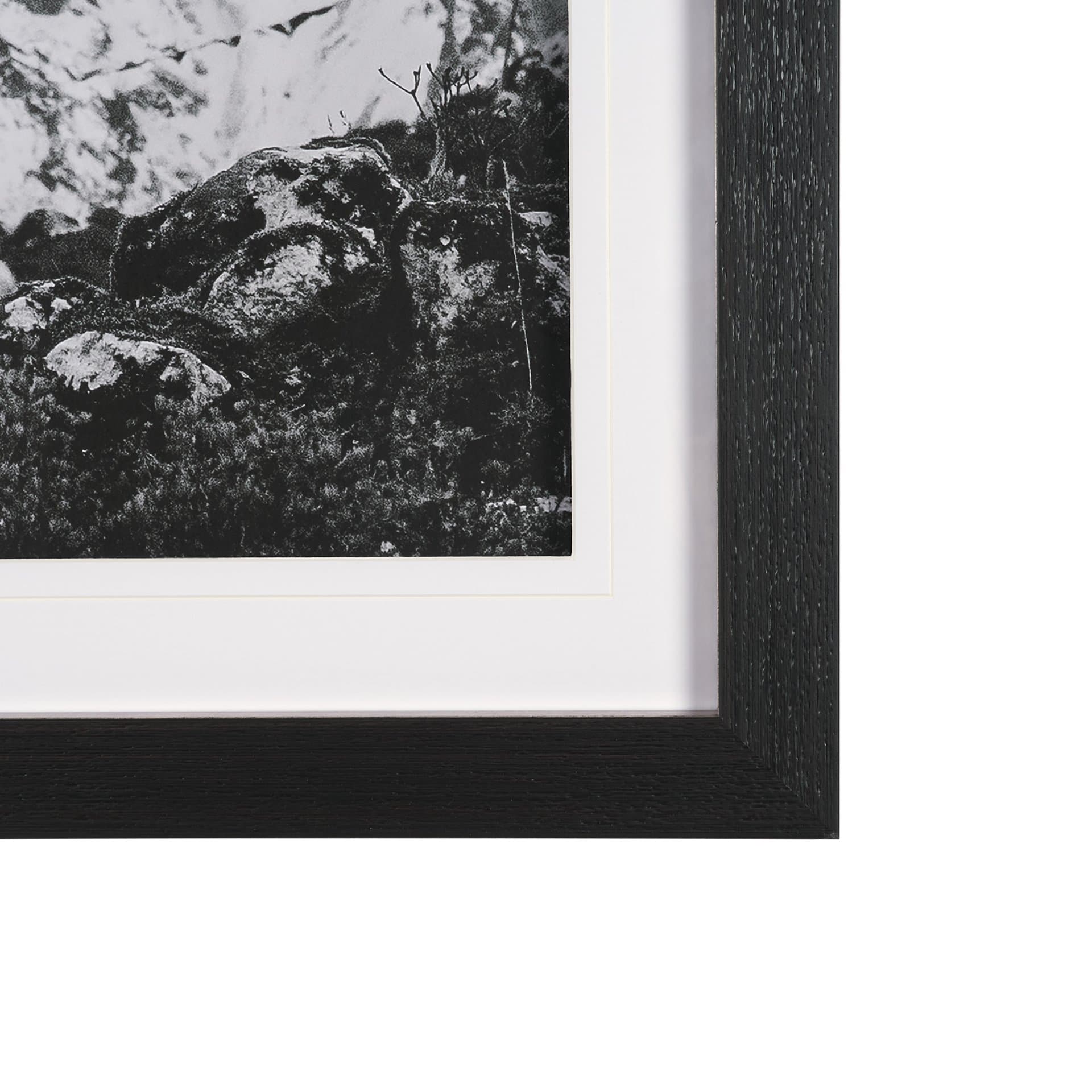 Majestic Mane - Snowscape by Matt Roseveare Framed Art Print Matted under Glass — product photograph