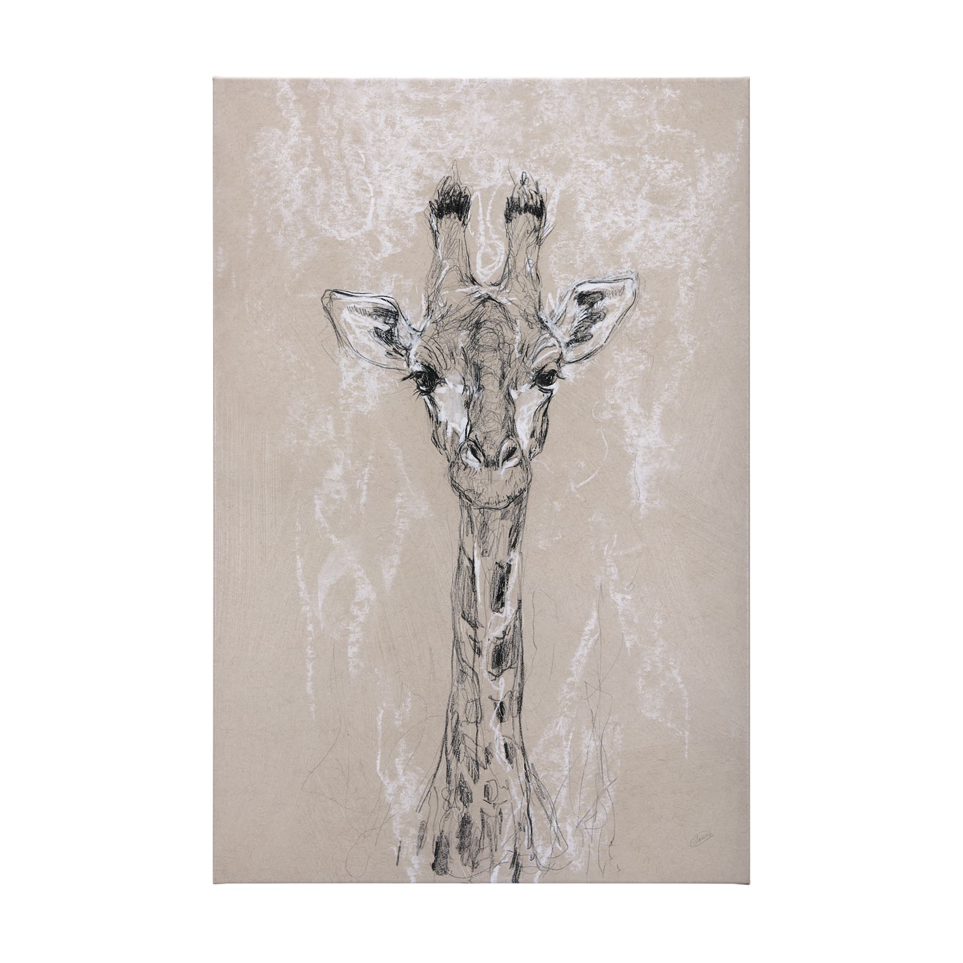 Sketch of animal IV (Giraffe) by Mercana Studio a Hand Embellished Textured Canvas — product photograph