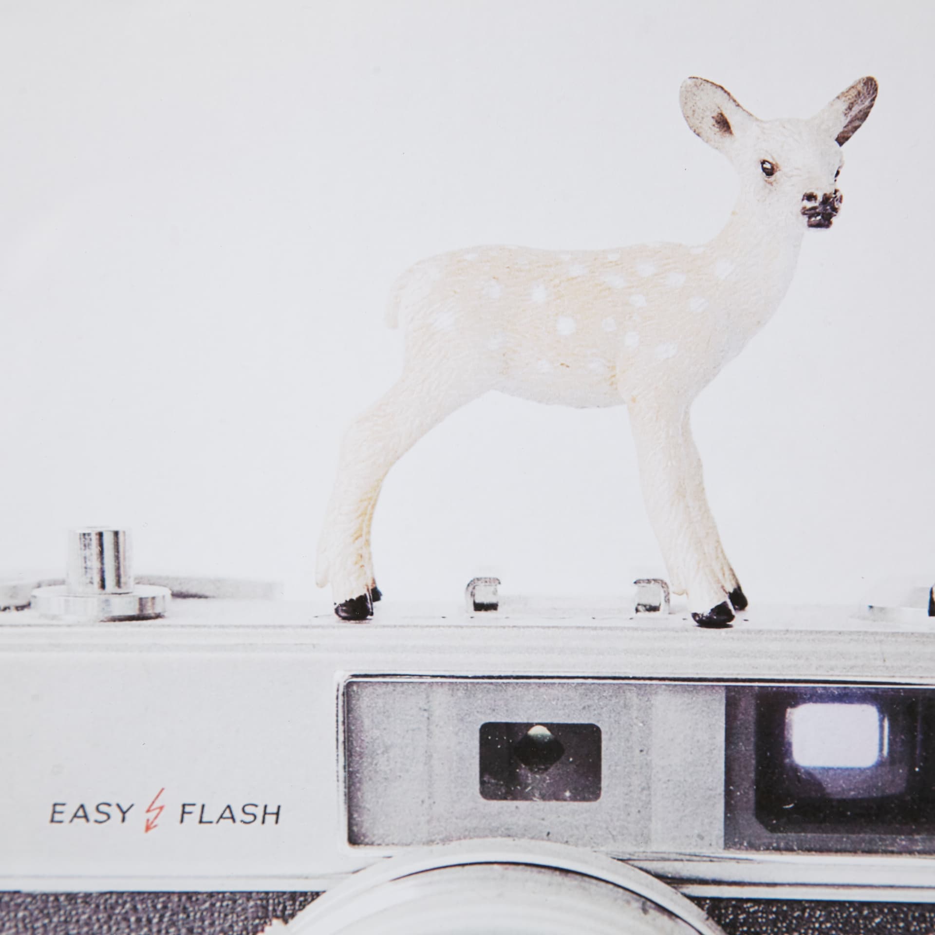 Deer & Vintage Camera by Susannah Tucker Photography a Framed Photo Art Print Matted under Glass — product photograph