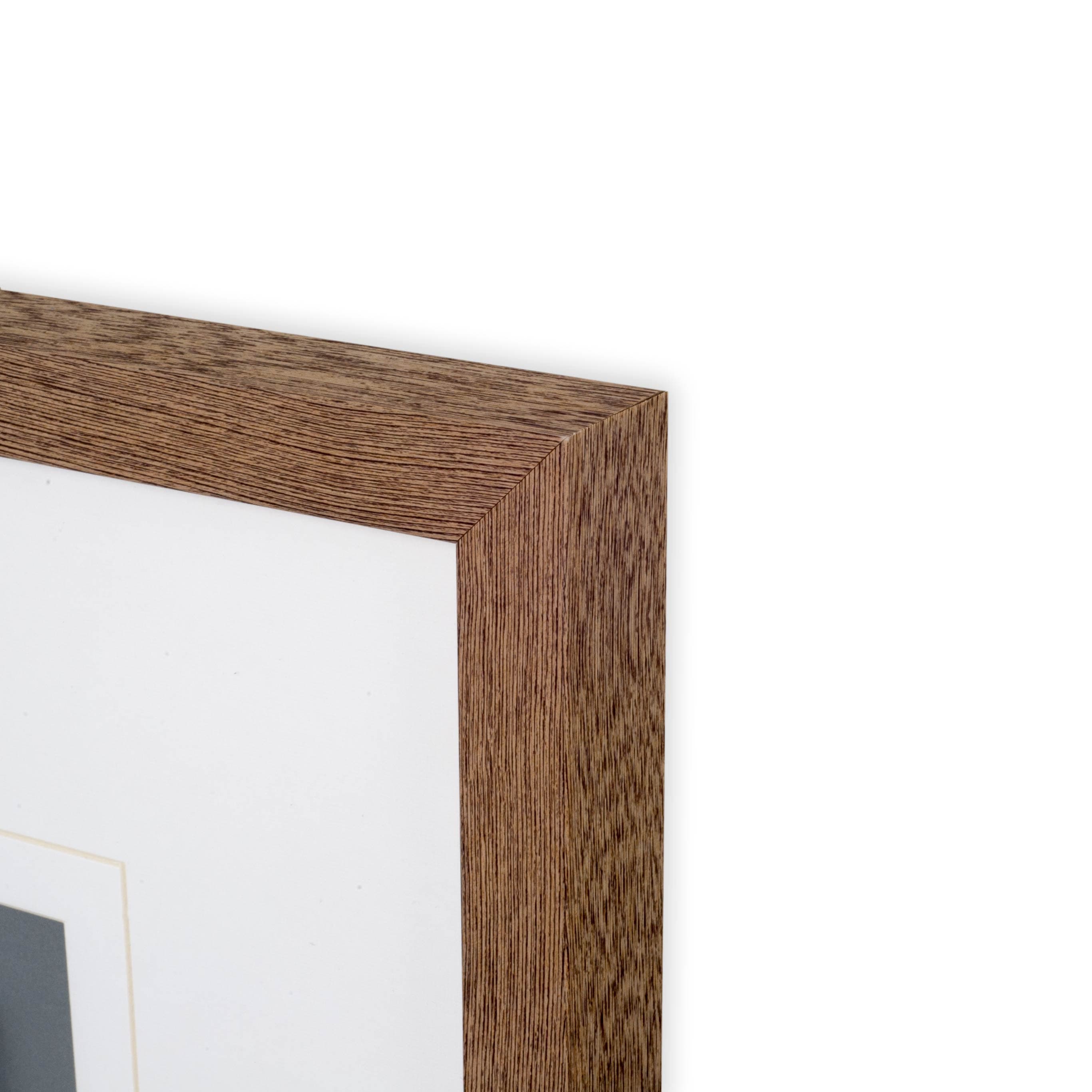 Air Plant 4 by Harvey, Brenna a Framed Art Print Matted under Glass — product photograph