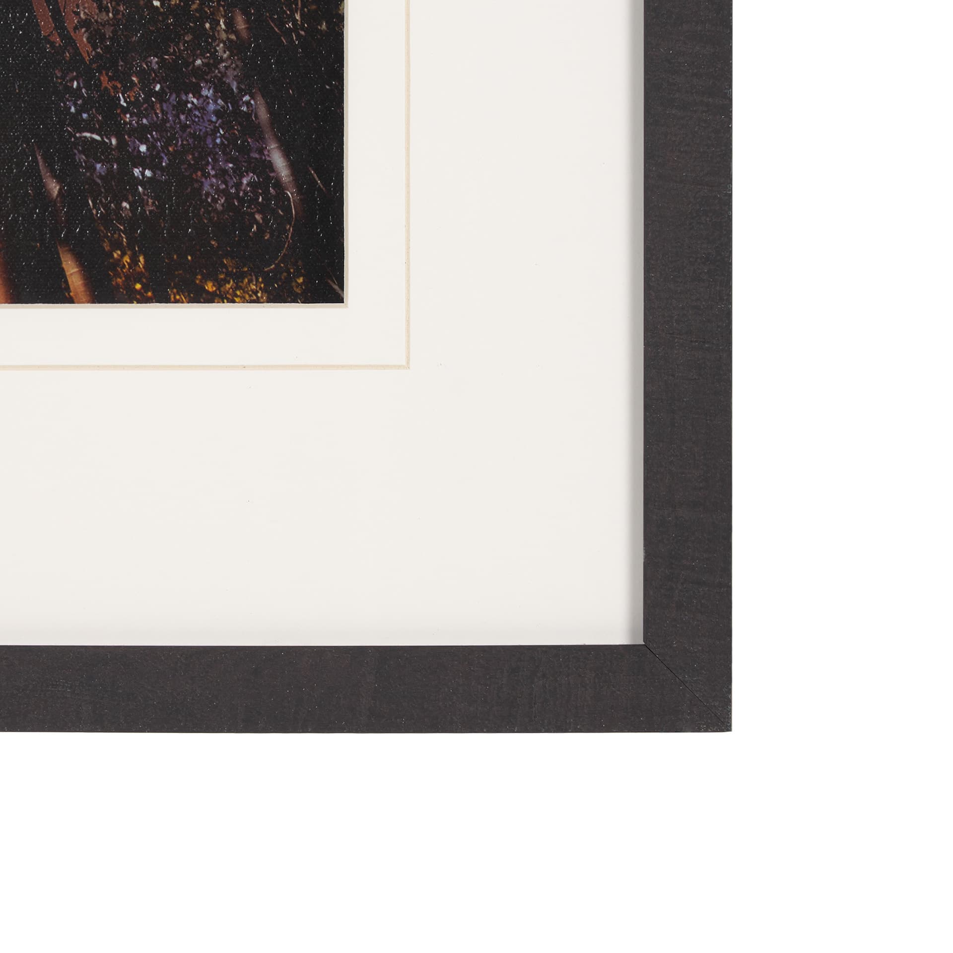 Leafy Shelter by Bobbie Goodrich a Hand Embellished Framed Photo Art Print Matted under Glass — product photograph