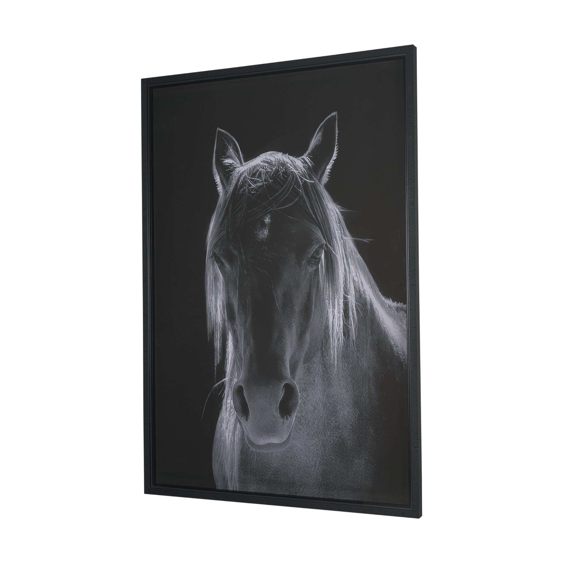 Shadowborn Majesty by Frank Ma Framed Photo Print Matted under Glass — product photograph