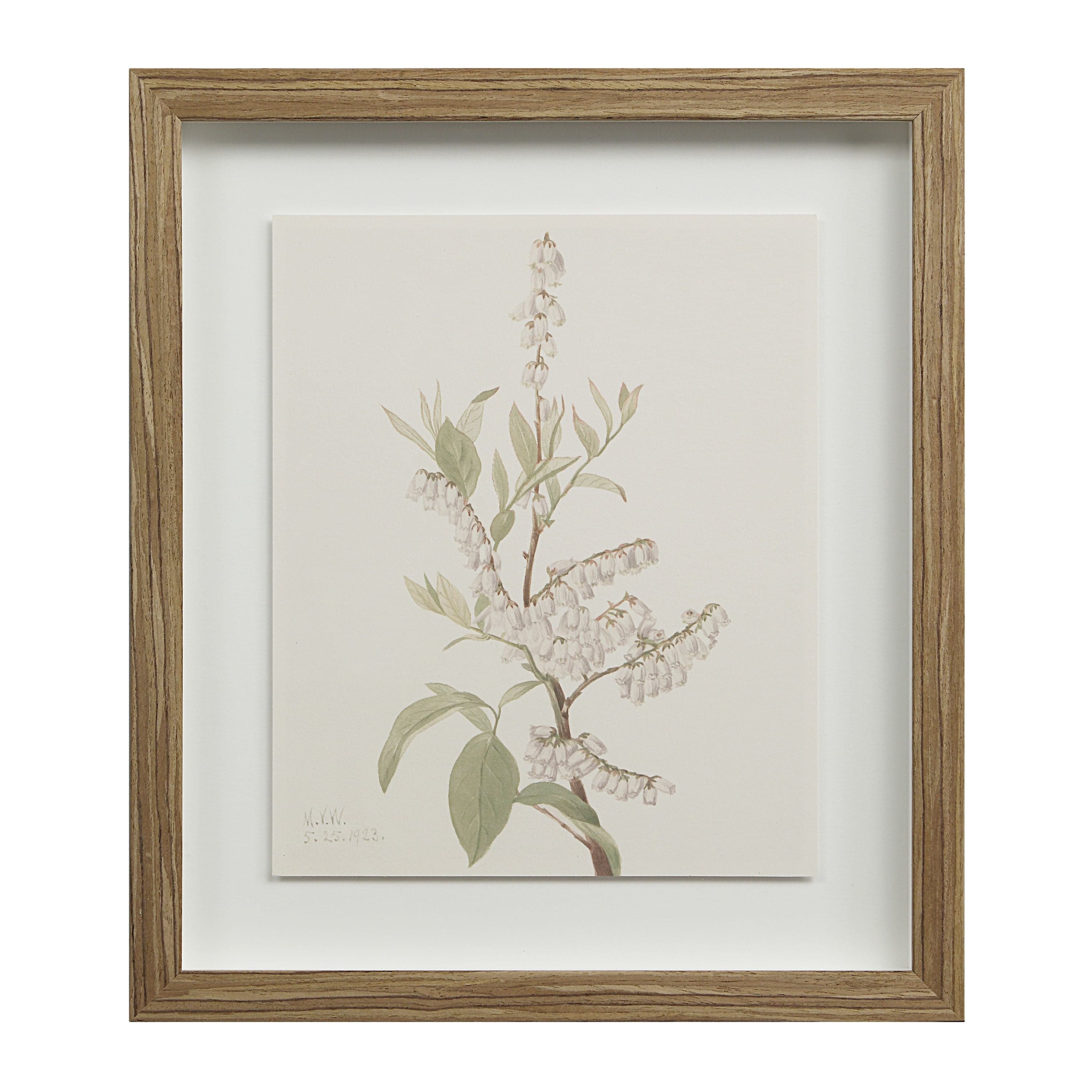 Crema — product photograph