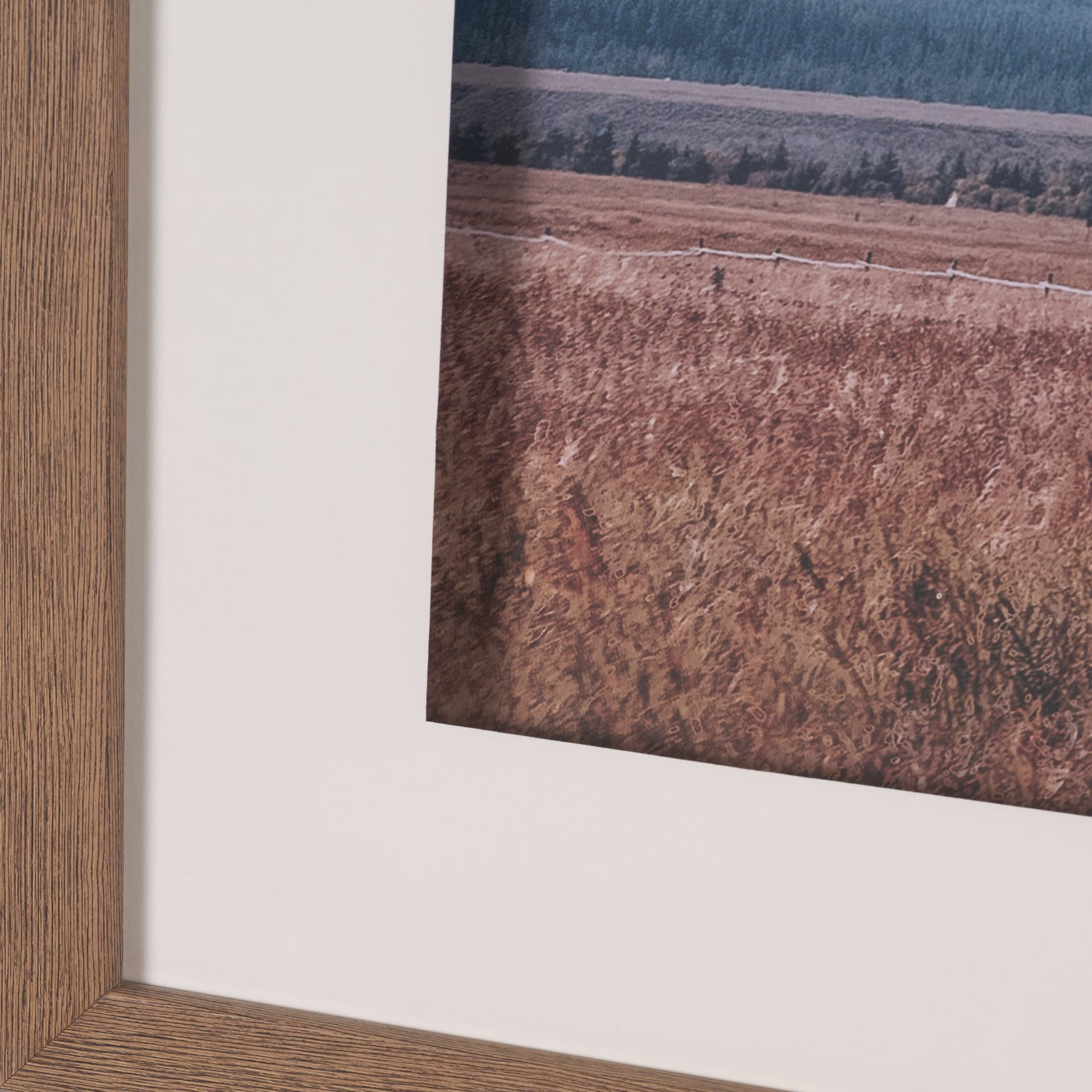 Historic Row IV by Nathan Larson a Framed Photo Art Print Matted under Glass — product photograph