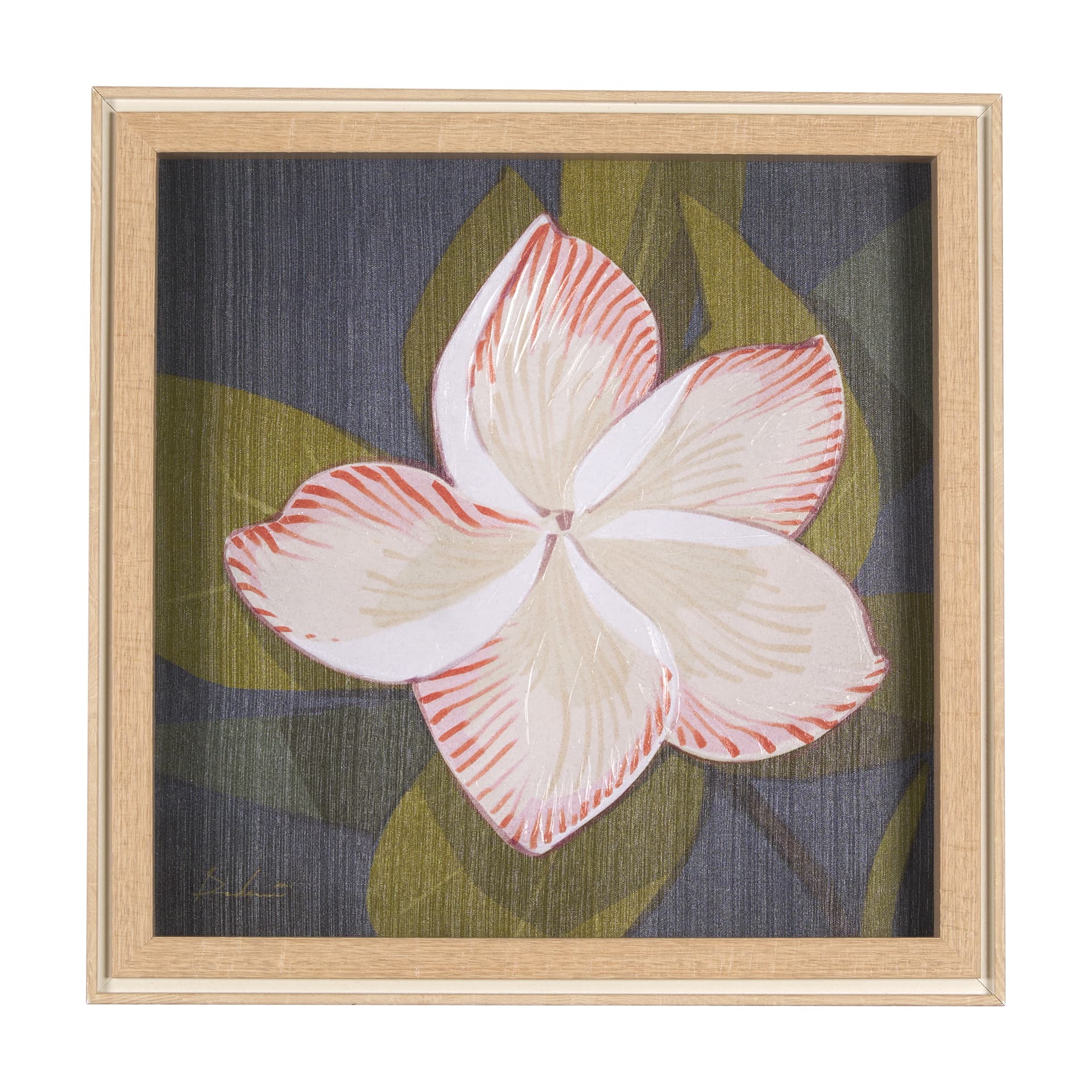 Flower Portrait III (FRANGIPANI) by Mercana Studio a Hand Embellished Textured Framed Art Print — product photograph