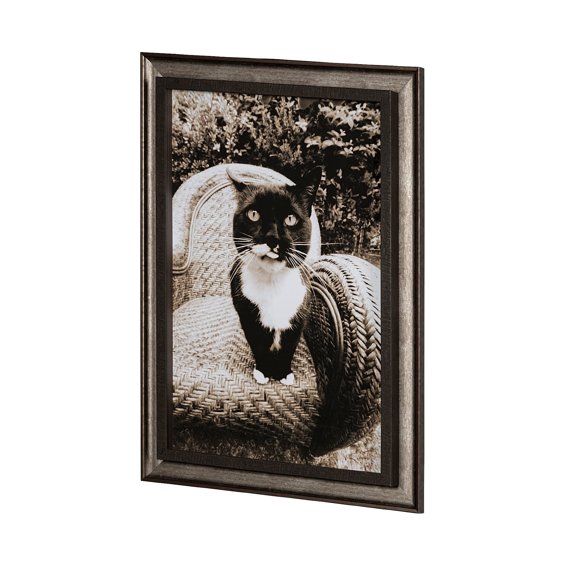Kitty I by Jim Drafield a Framed Photo Art Print — product photograph