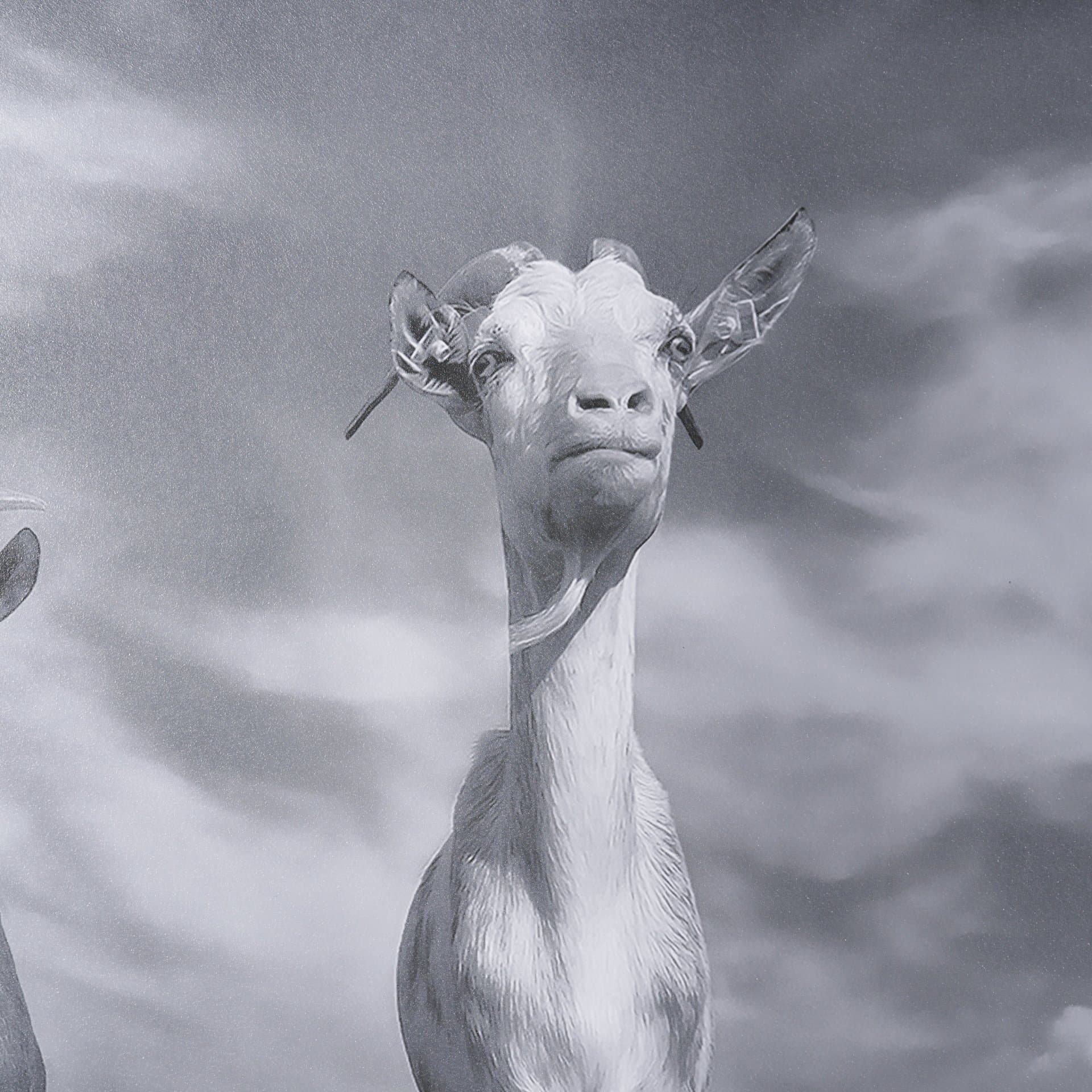 Curious Farm Goats by Novica Stankovic Hand-Embellished Textured Framed Artwork Matted under Glass — product photograph
