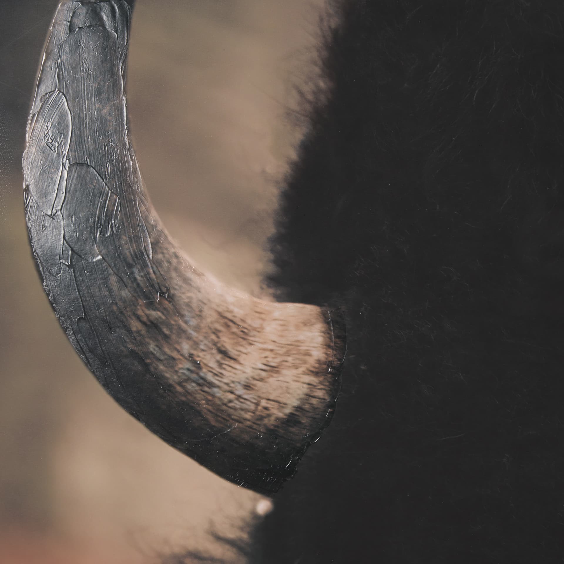 Stare Down by Chad Mackay a Hand Embelished Textured Framed Photo Art Print Matted under Glass — product photograph
