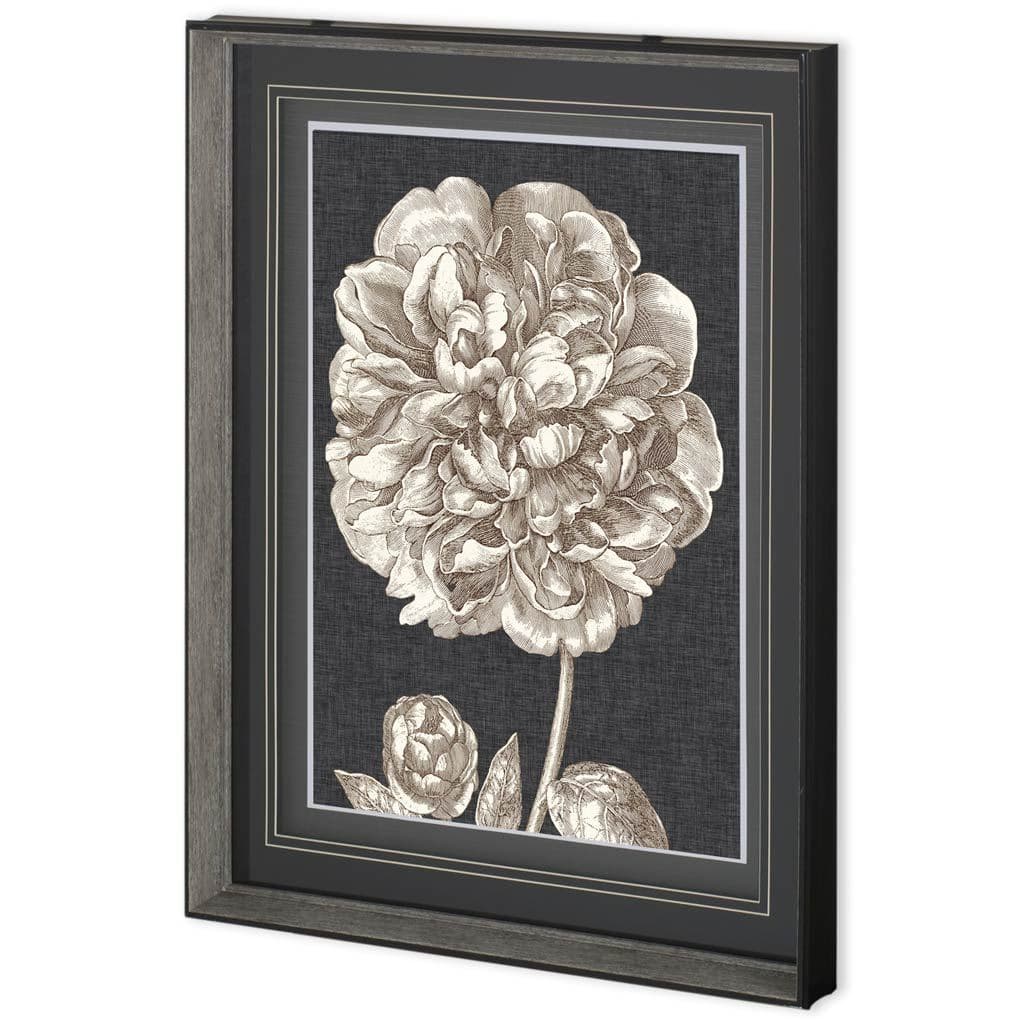 Dramatic Peony II by Vision Studio a Hand Embellished Textured Framed Art Print Matted under Glass — product photograph