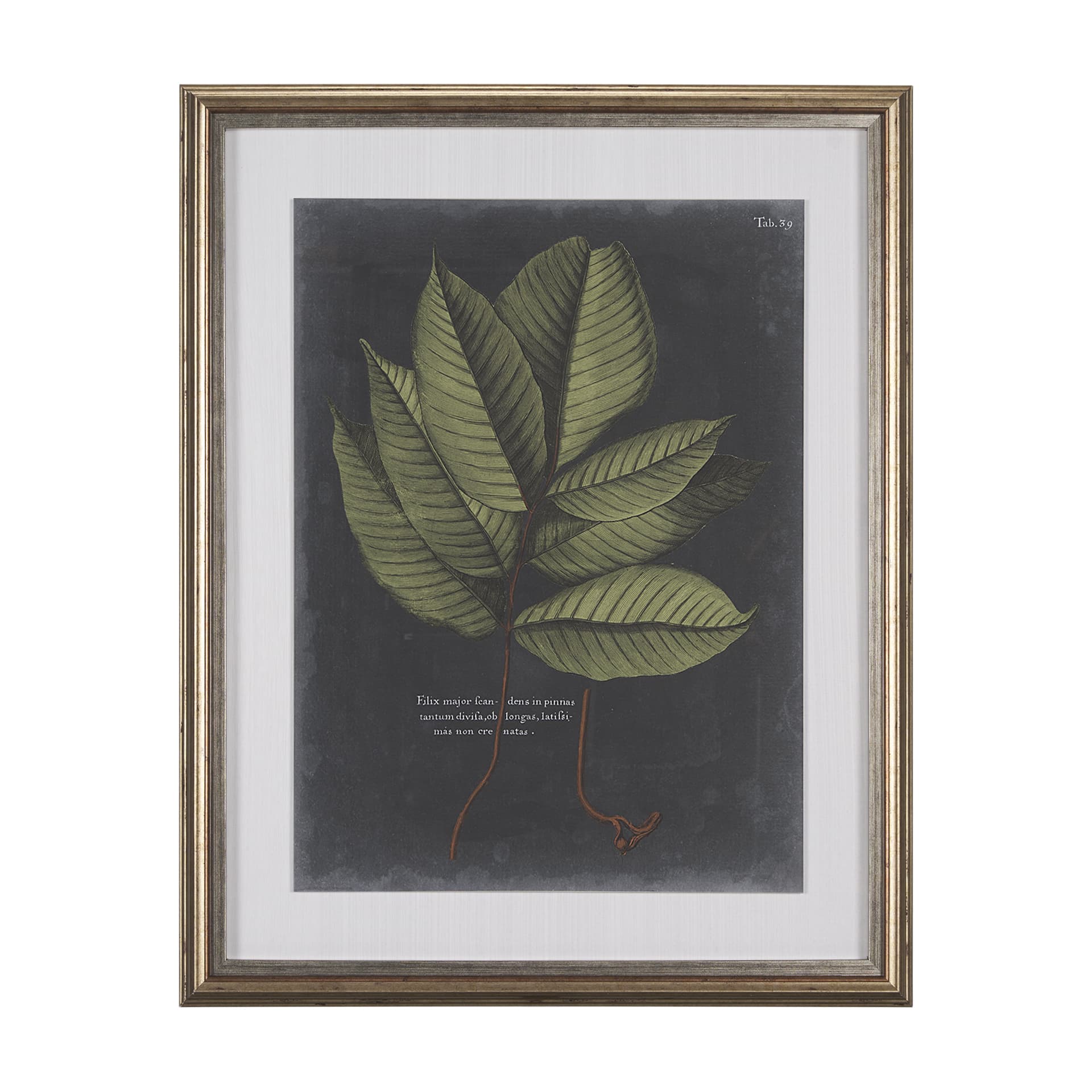 Foliage Dramatique III by Vision Studio Hand Embellished Textured Framed Art Print Matted under Glas — product photograph