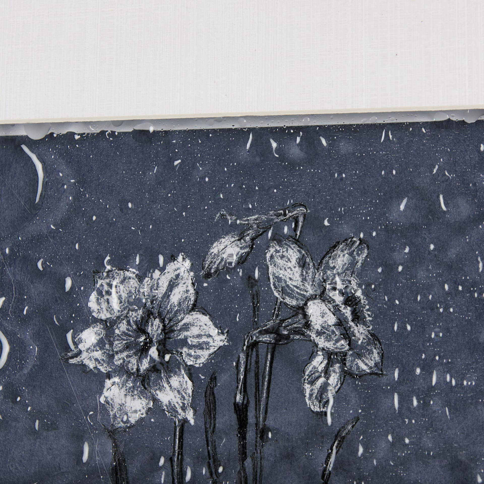 Botanical sketches II (Blue) by Mercana Studio Hand Embellished Framed Art Print Matted under Glass — product photograph
